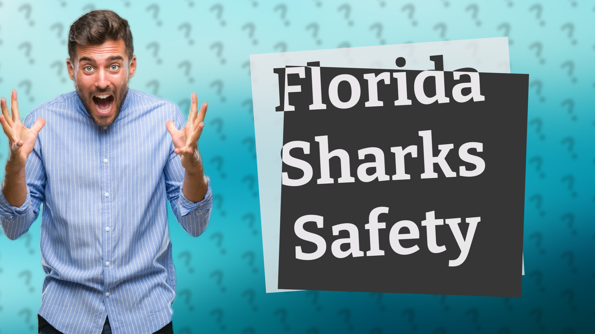 Florida Sharks Safety