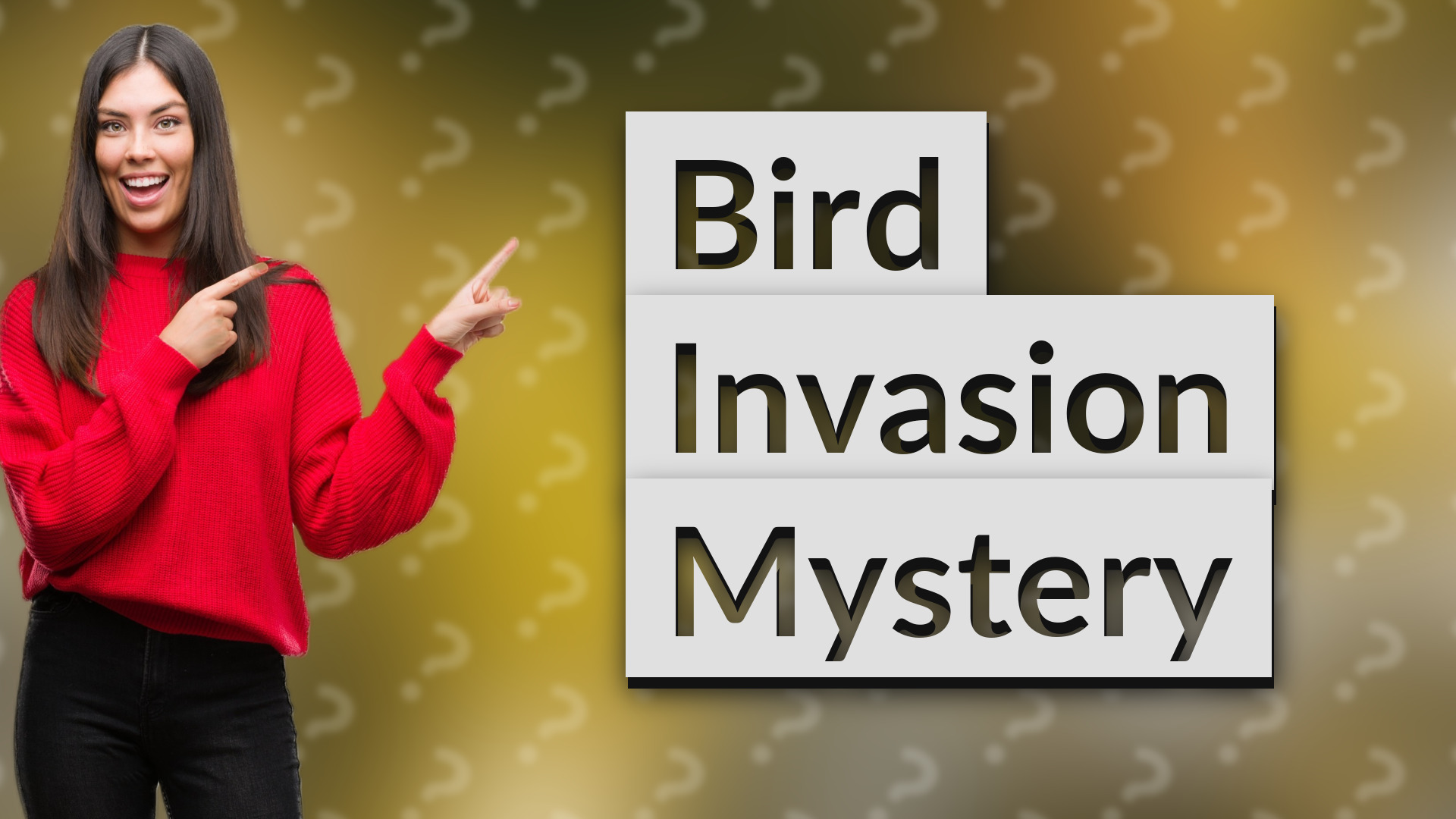 Bird Invasion Mystery