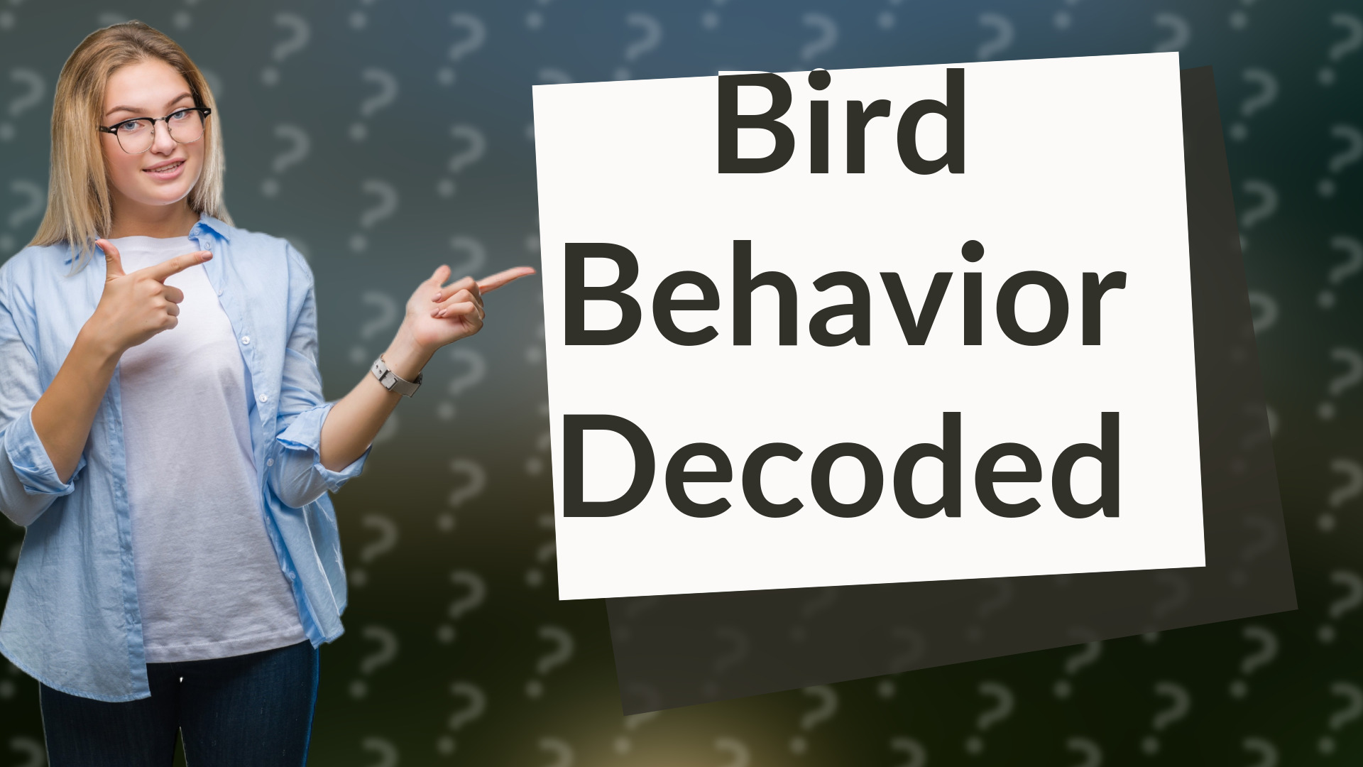 Bird Behavior Decoded