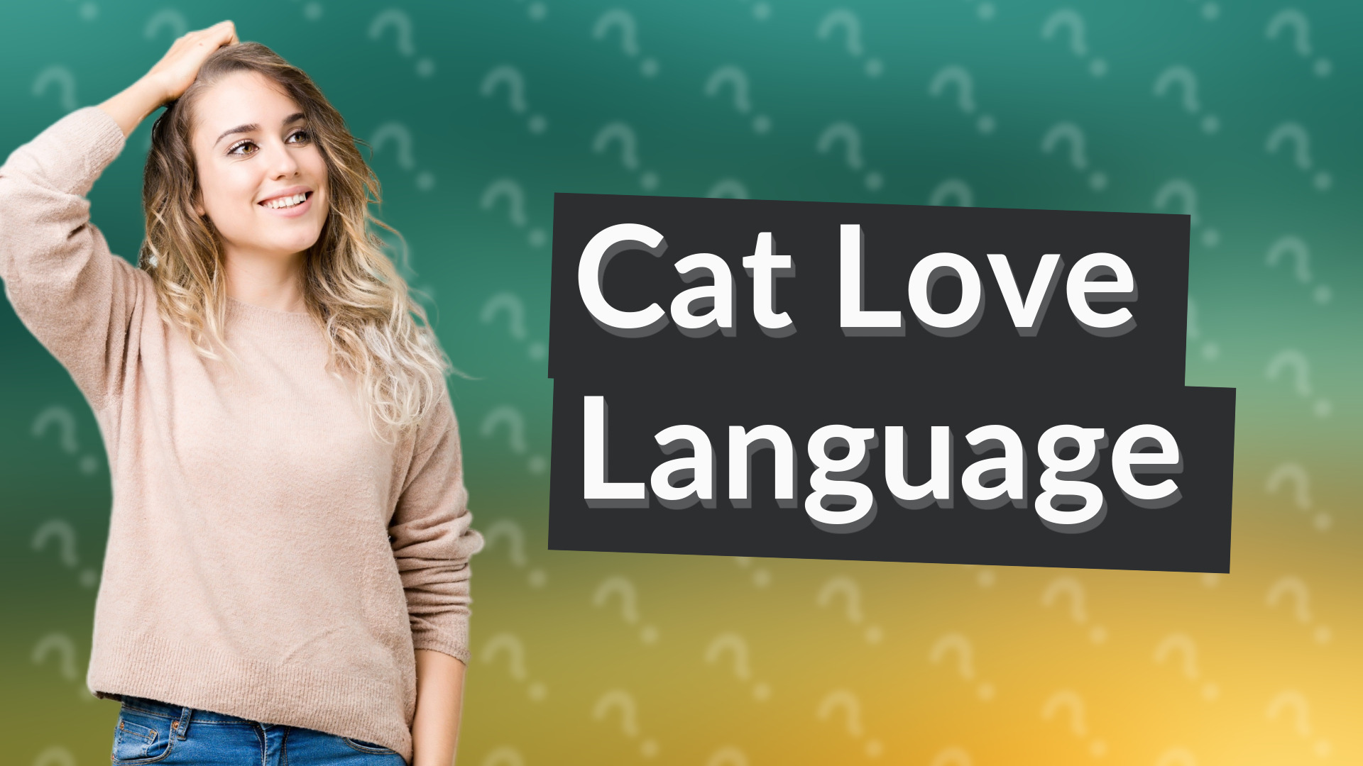 Cat Love Language
