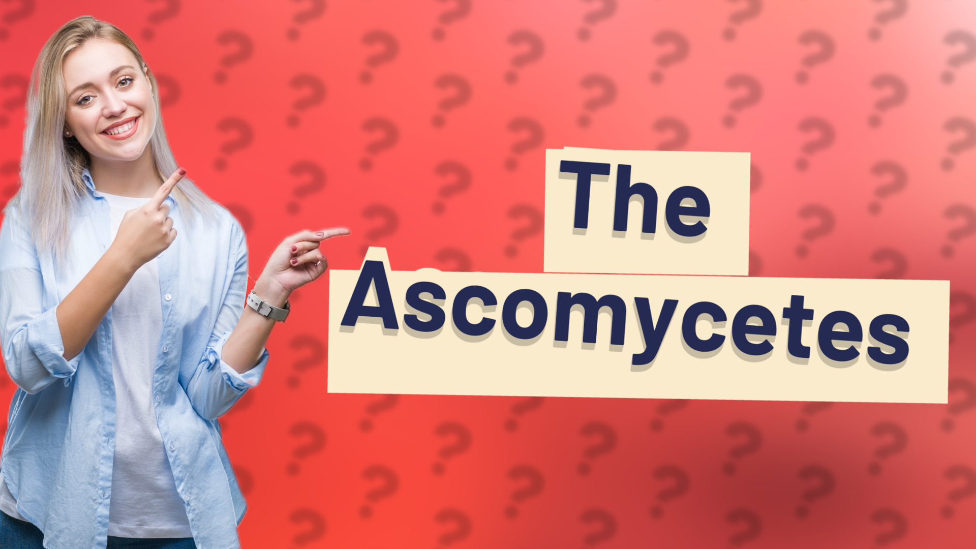 The Ascomycetes
