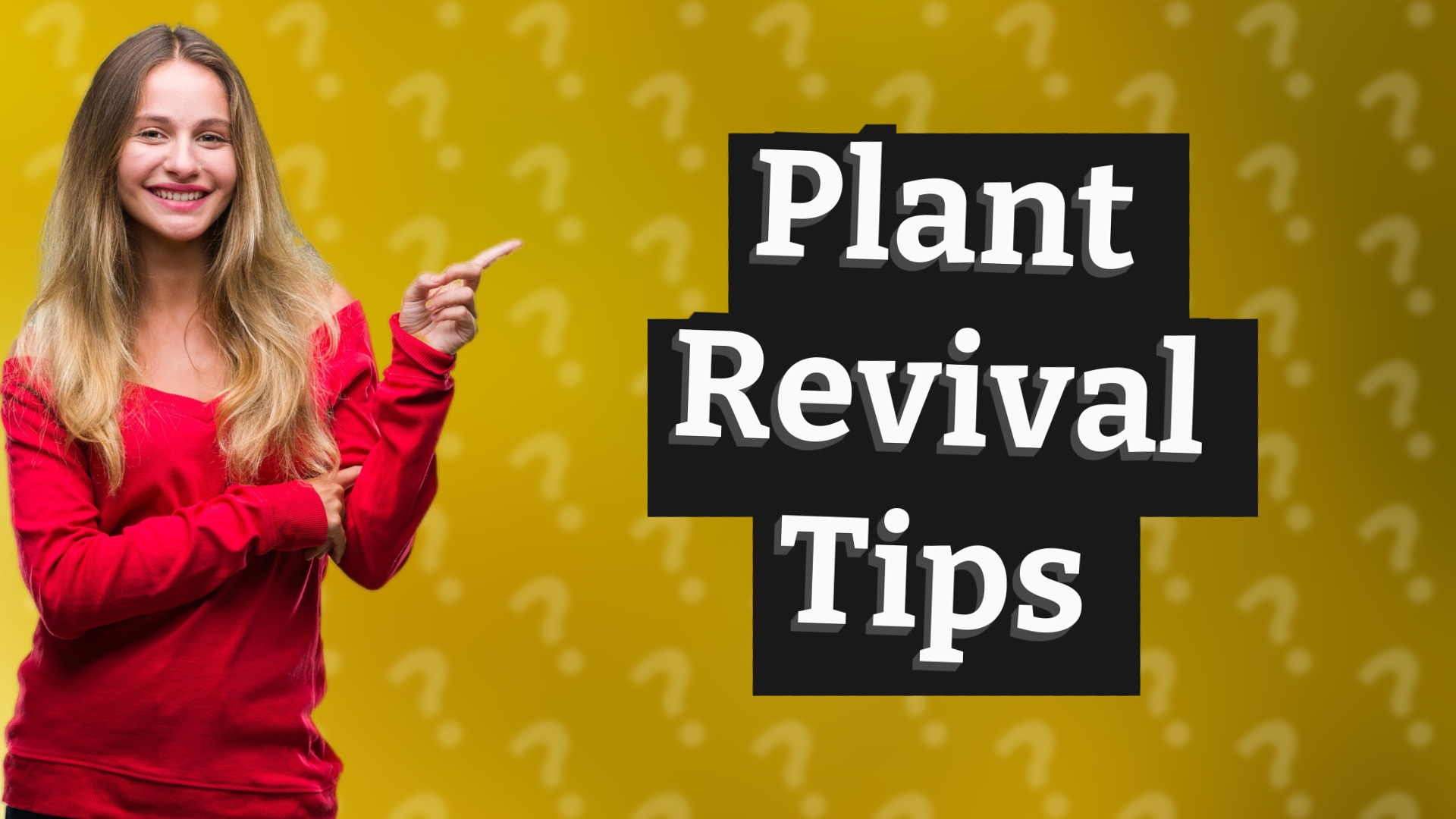 Plant Revival Tips