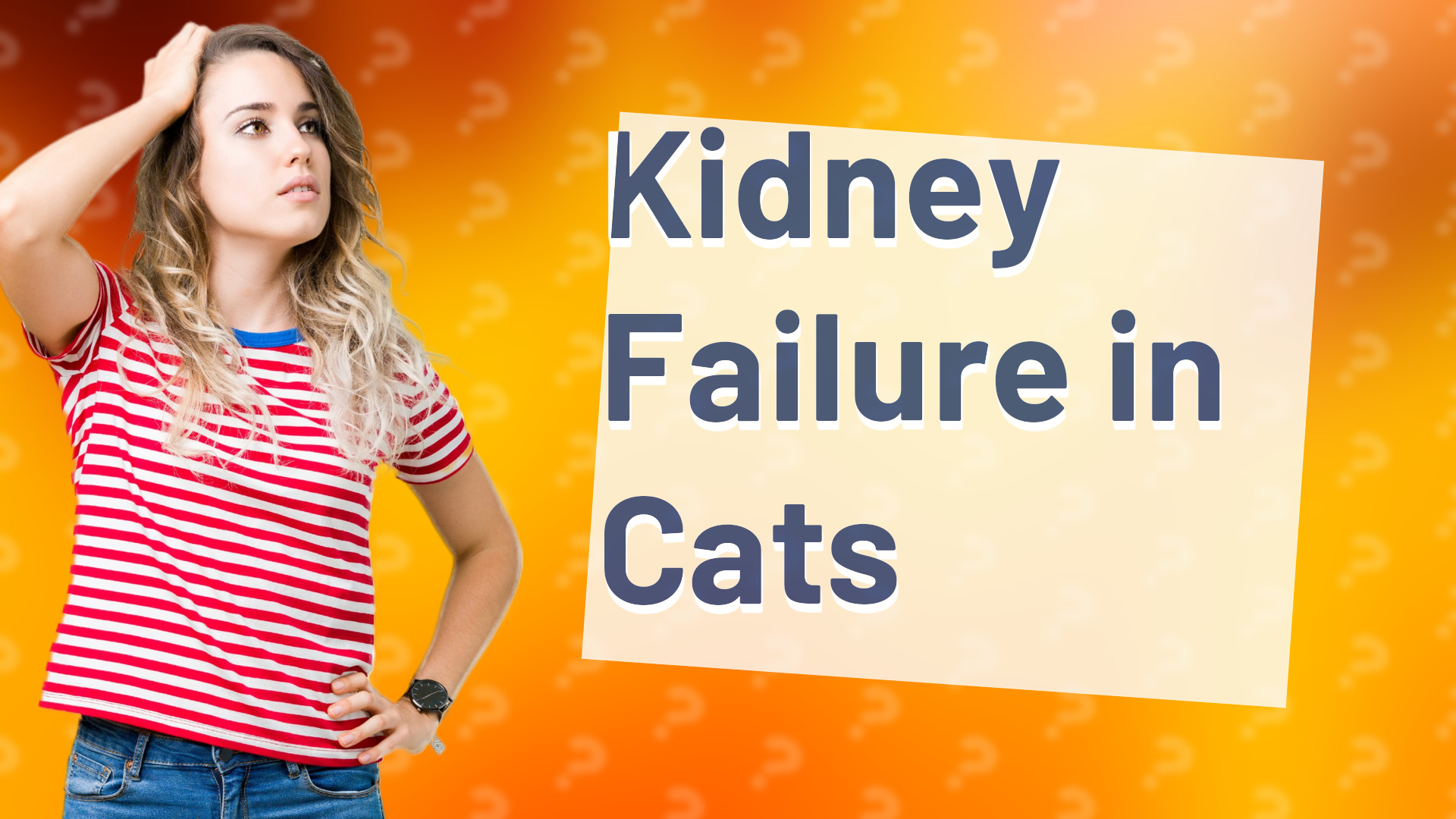 Kidney Failure in Cats
