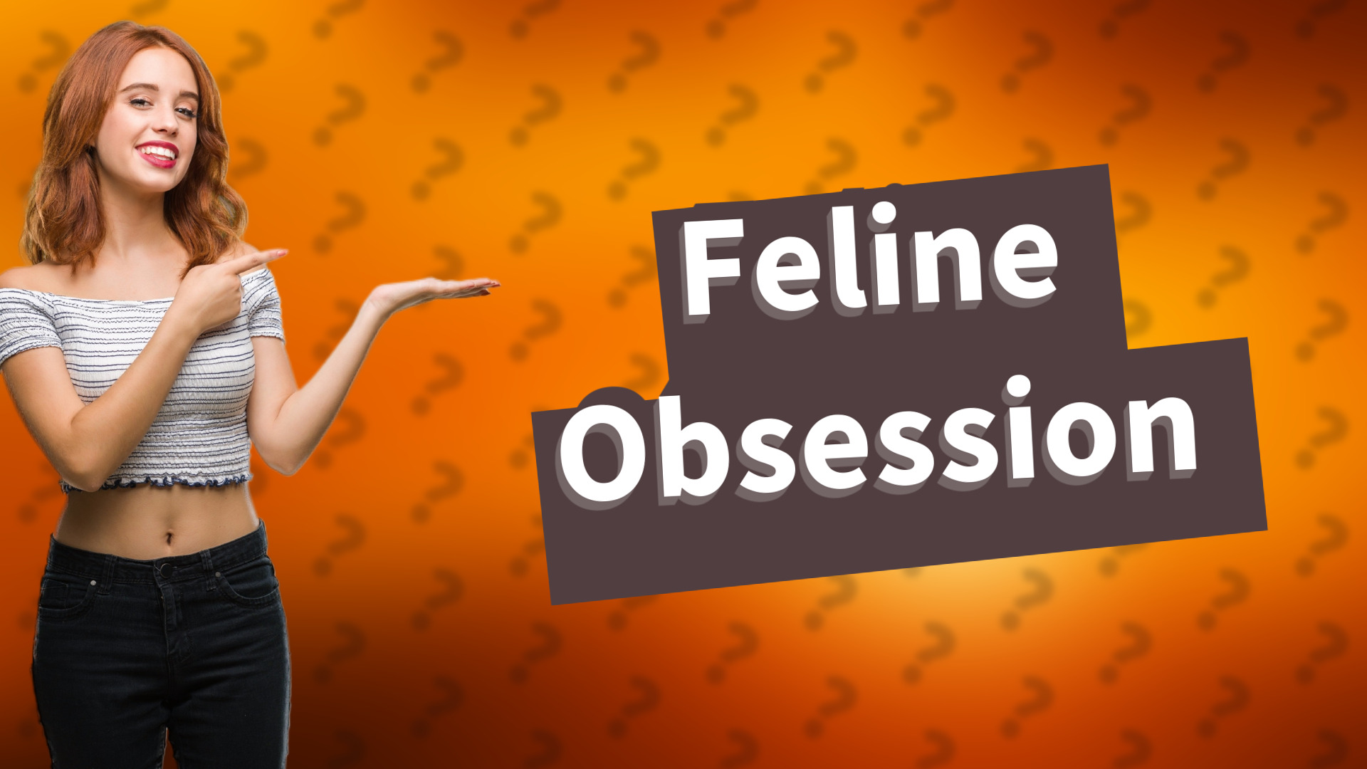 Feline Obsession