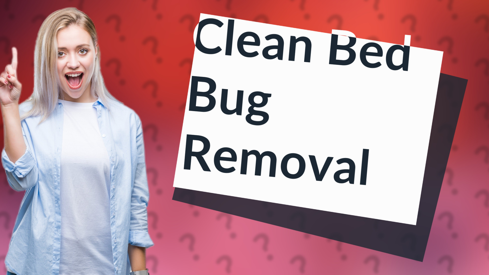 Clean Bed Bug Removal