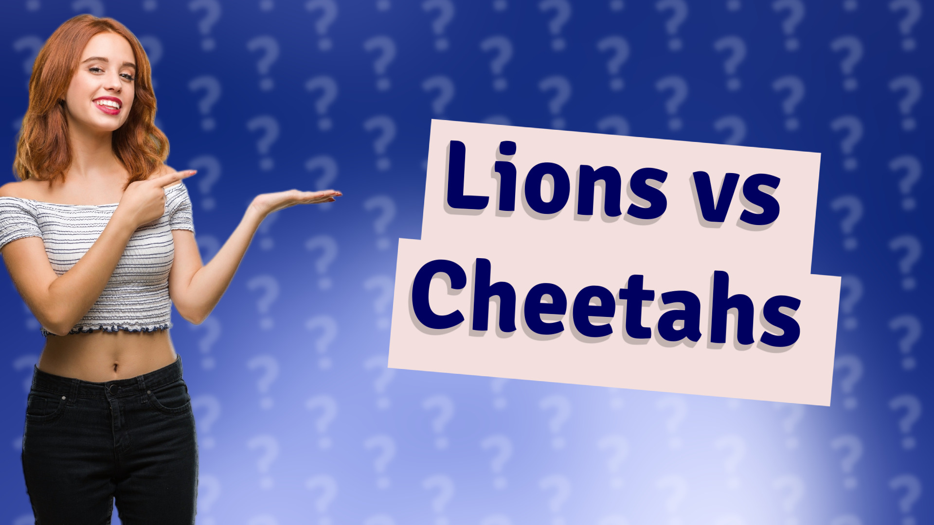 Lions vs Cheetahs