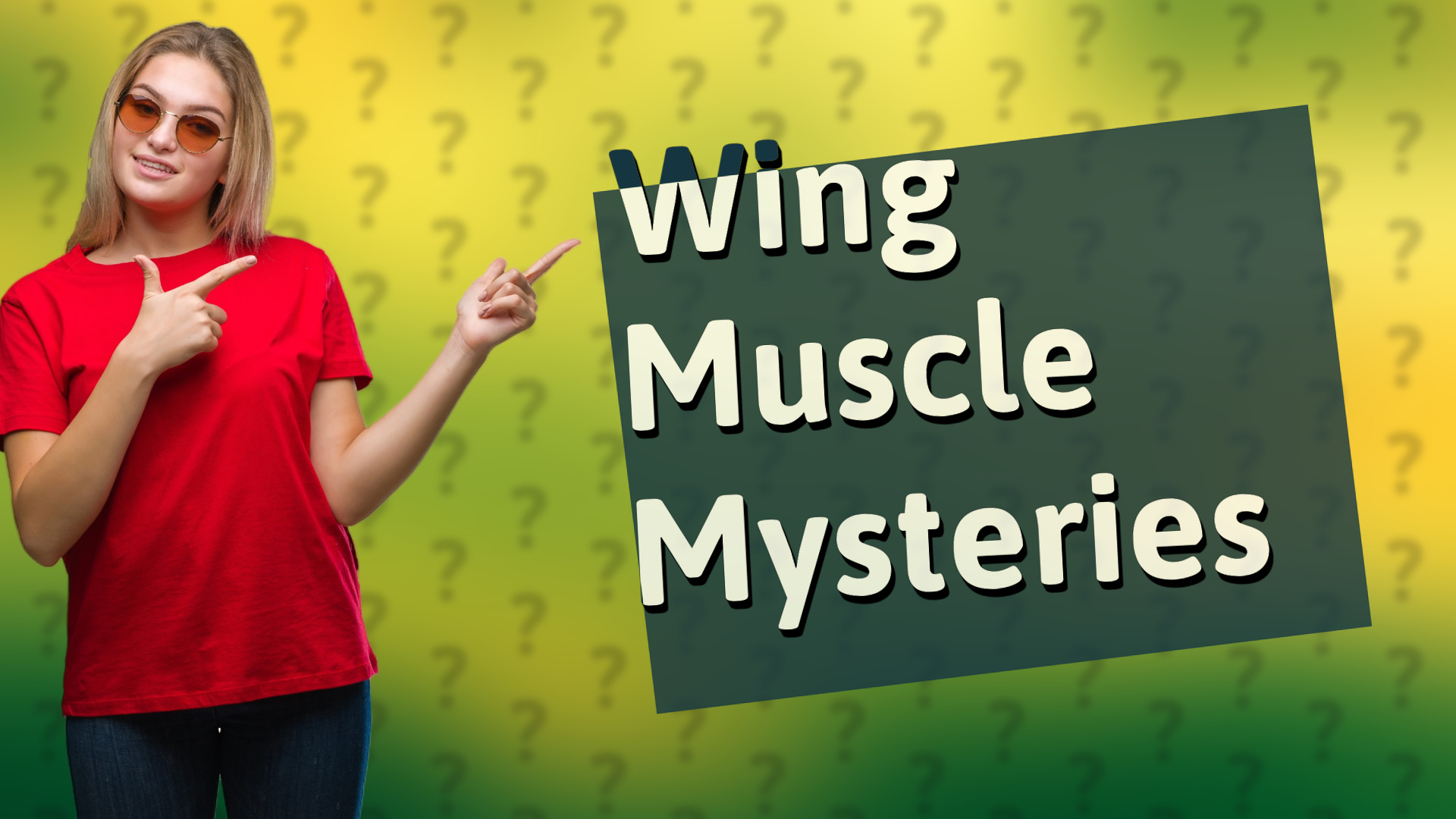 Wing Muscle Mysteries
