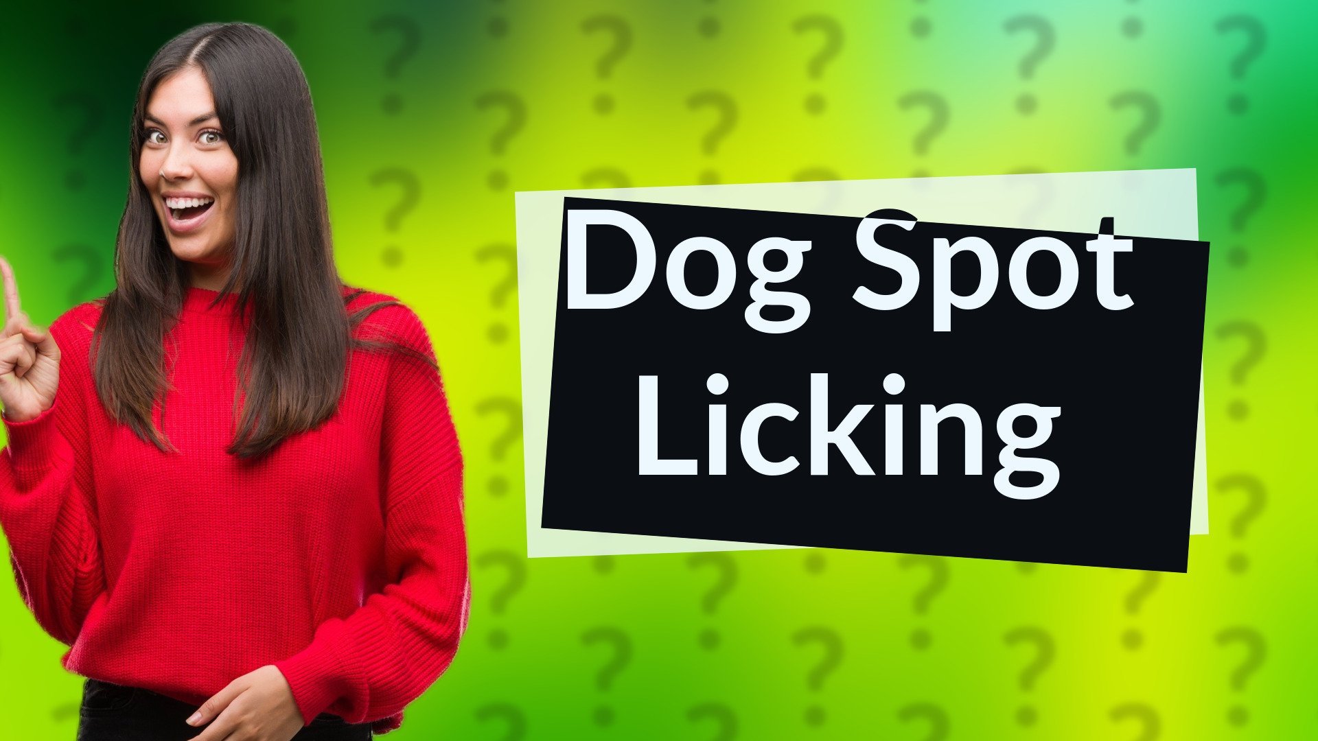 Dog Spot Licking