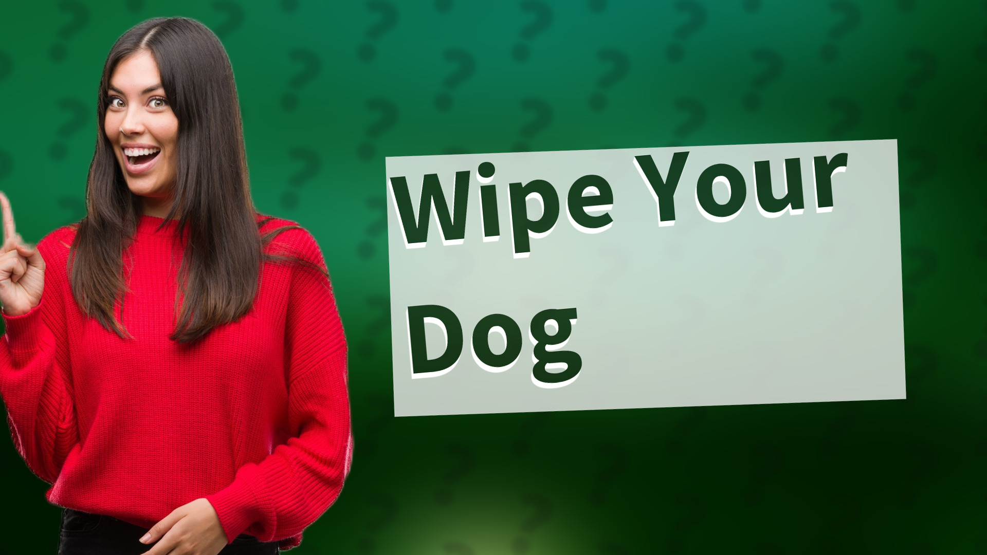 Wipe Your Dog