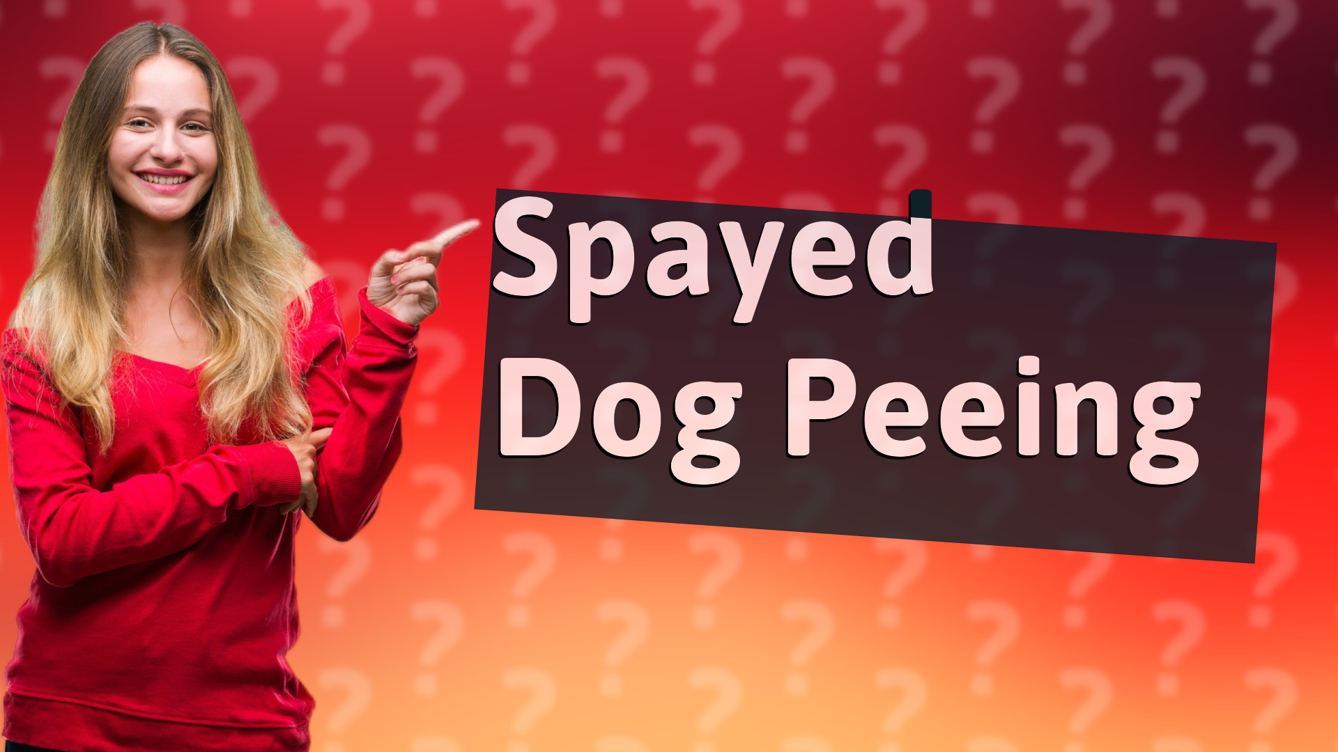 Spayed Dog Peeing