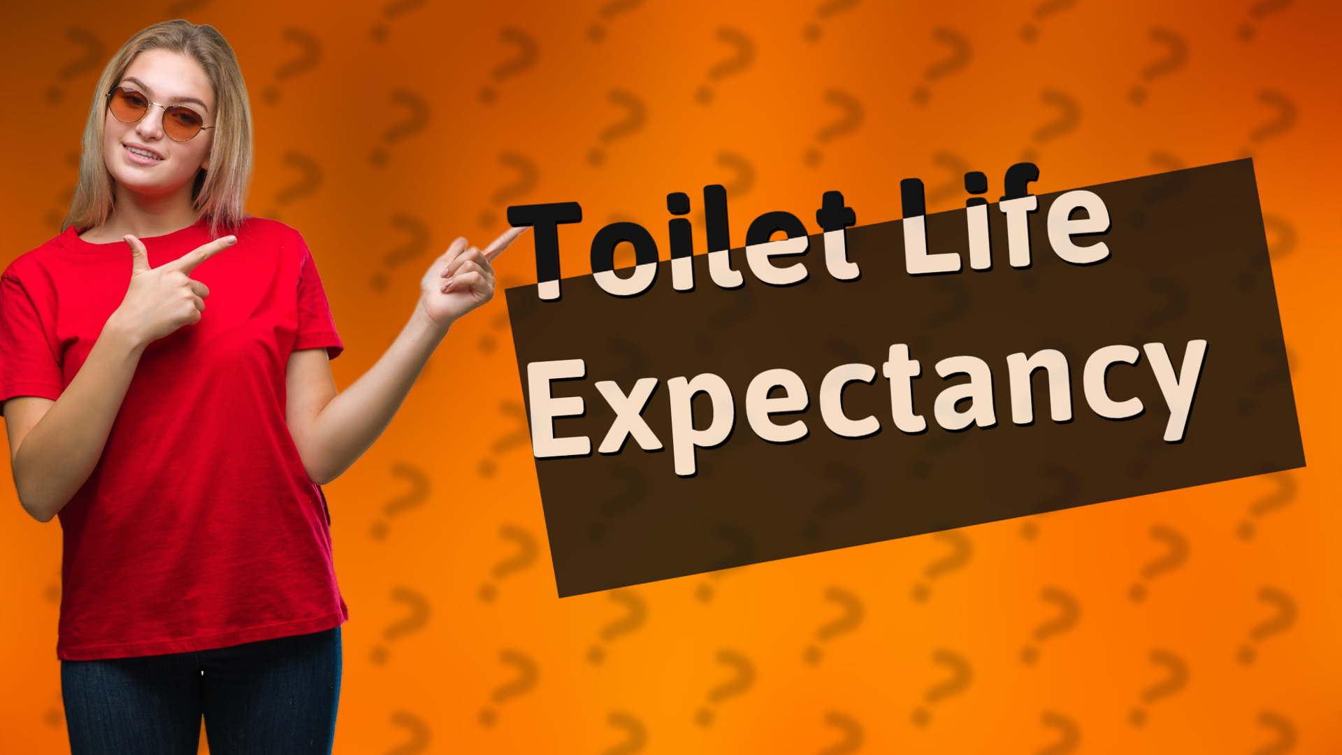 Toilet Life Expectancy