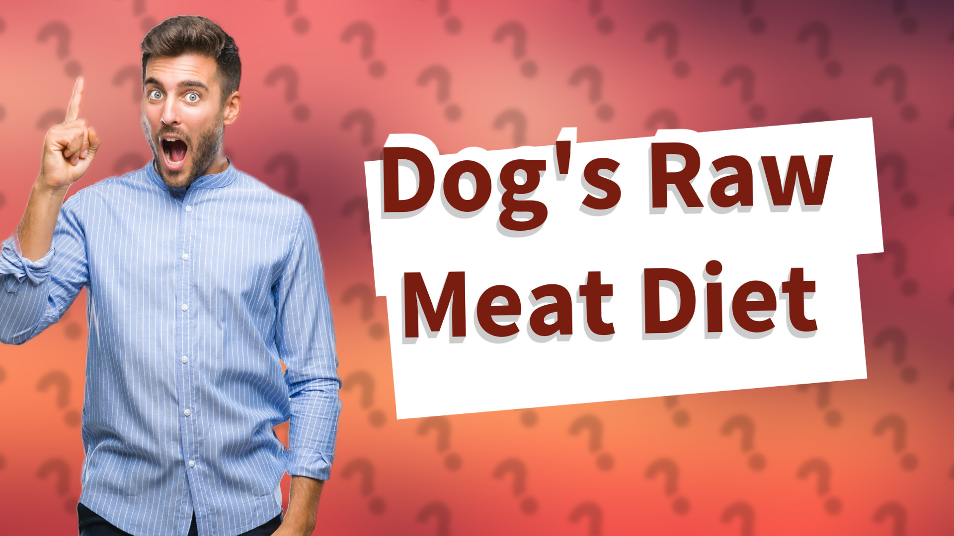 Dog's Raw Meat Diet