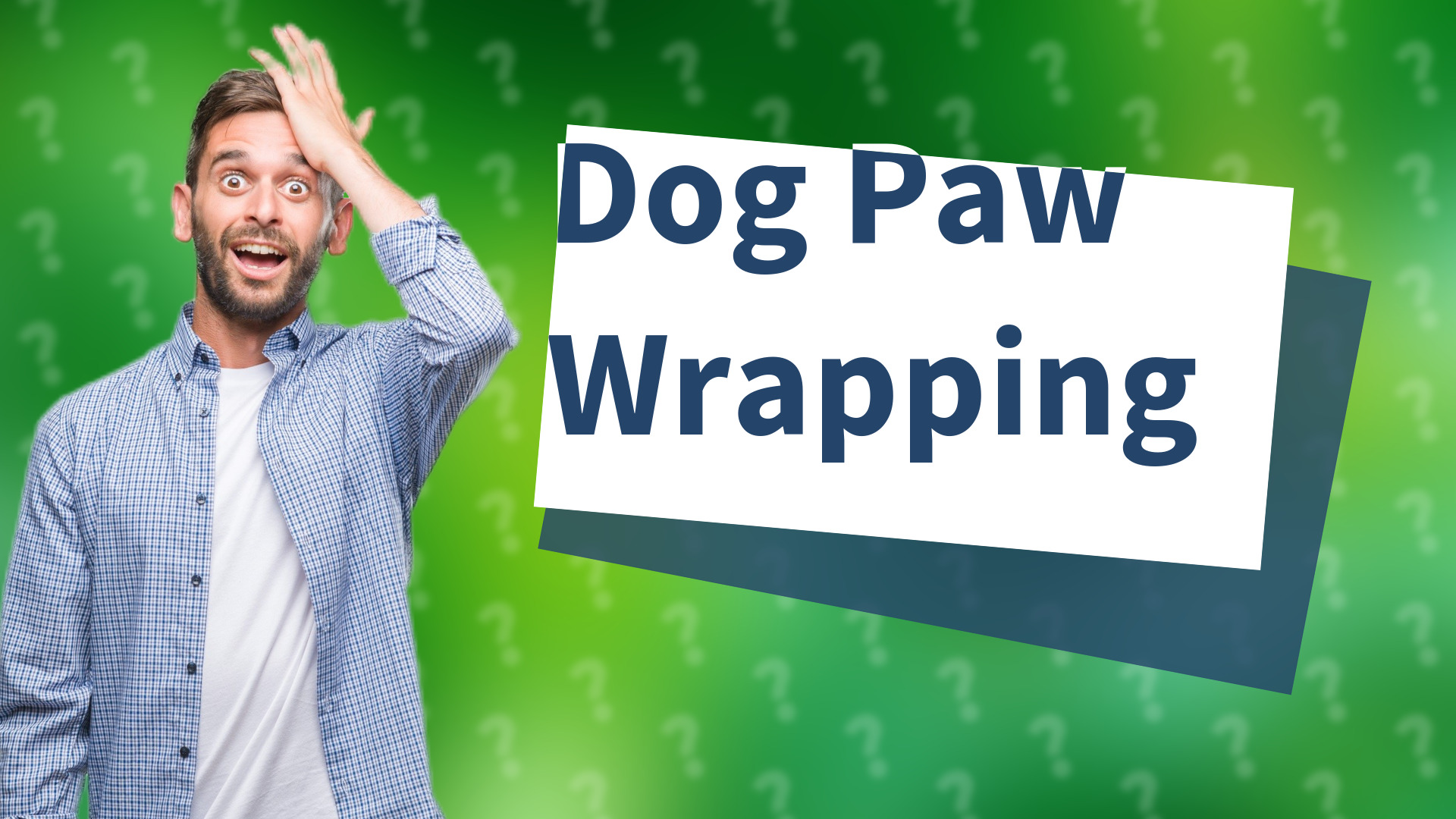 Dog Paw Wrapping