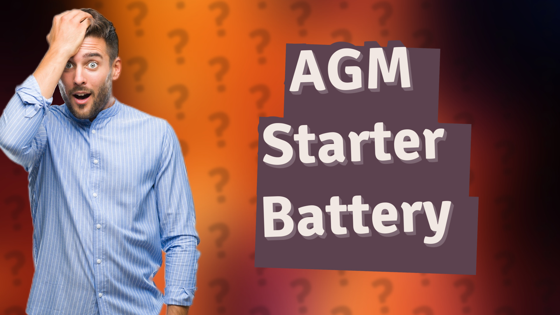 AGM Starter Battery