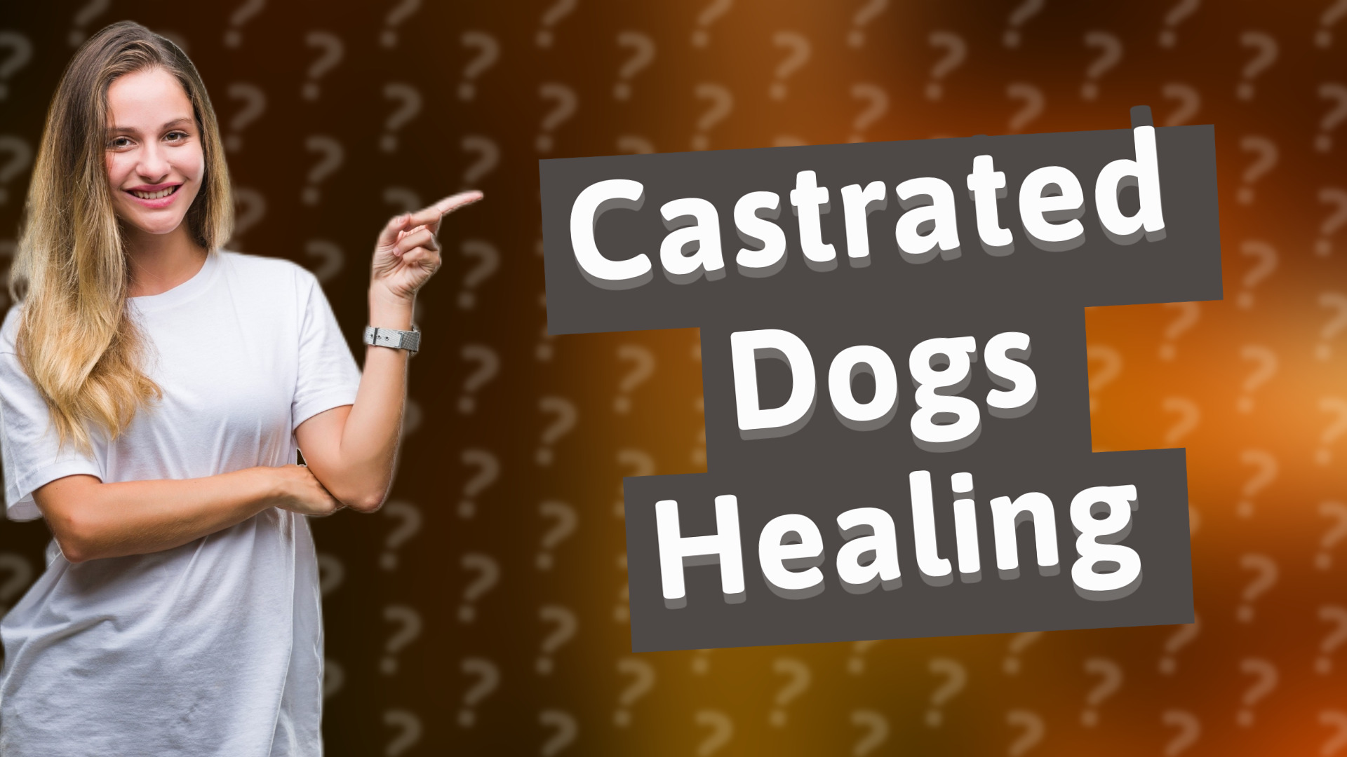 Castrated Dogs Healing