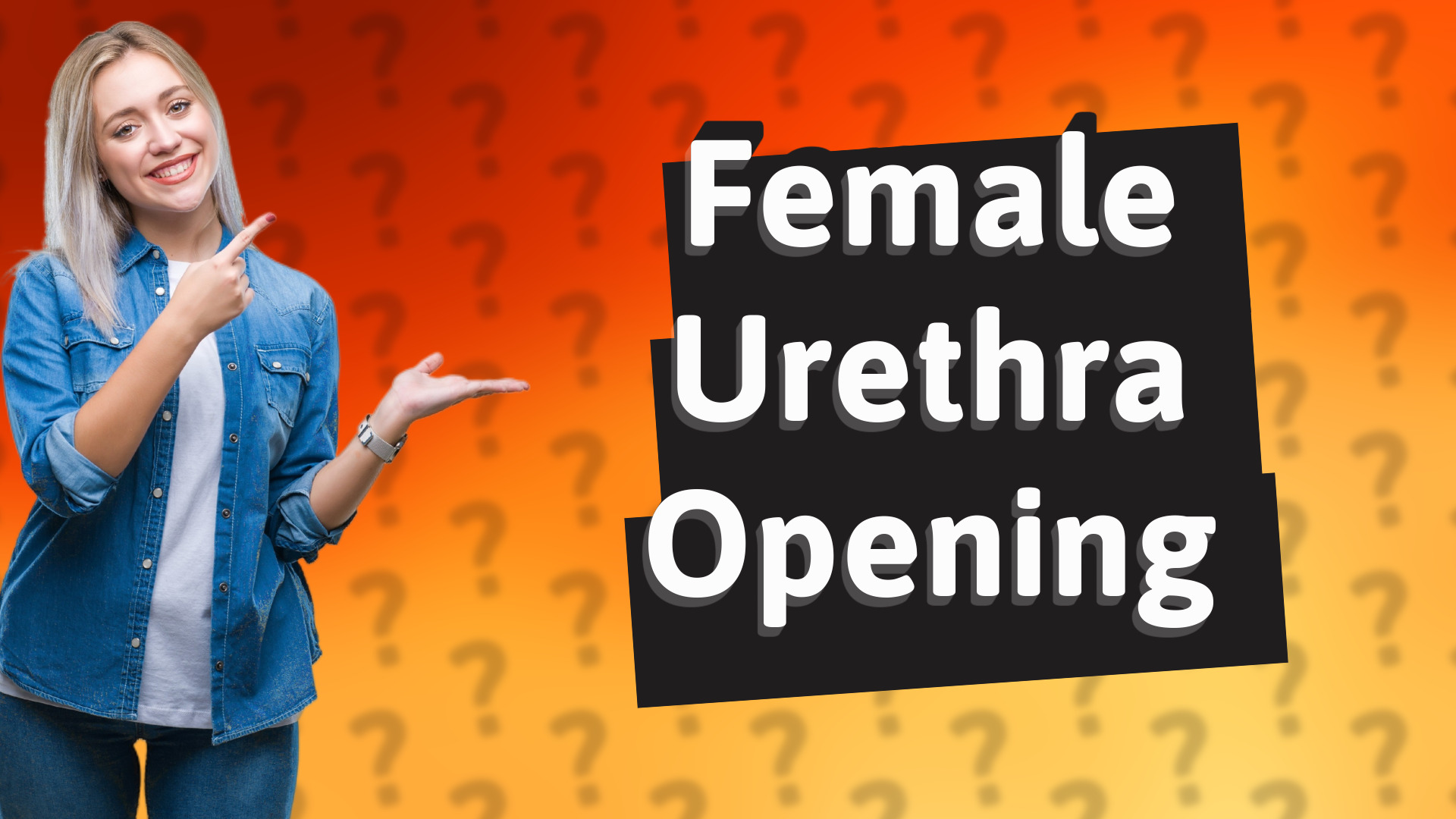 Female Urethra Opening
