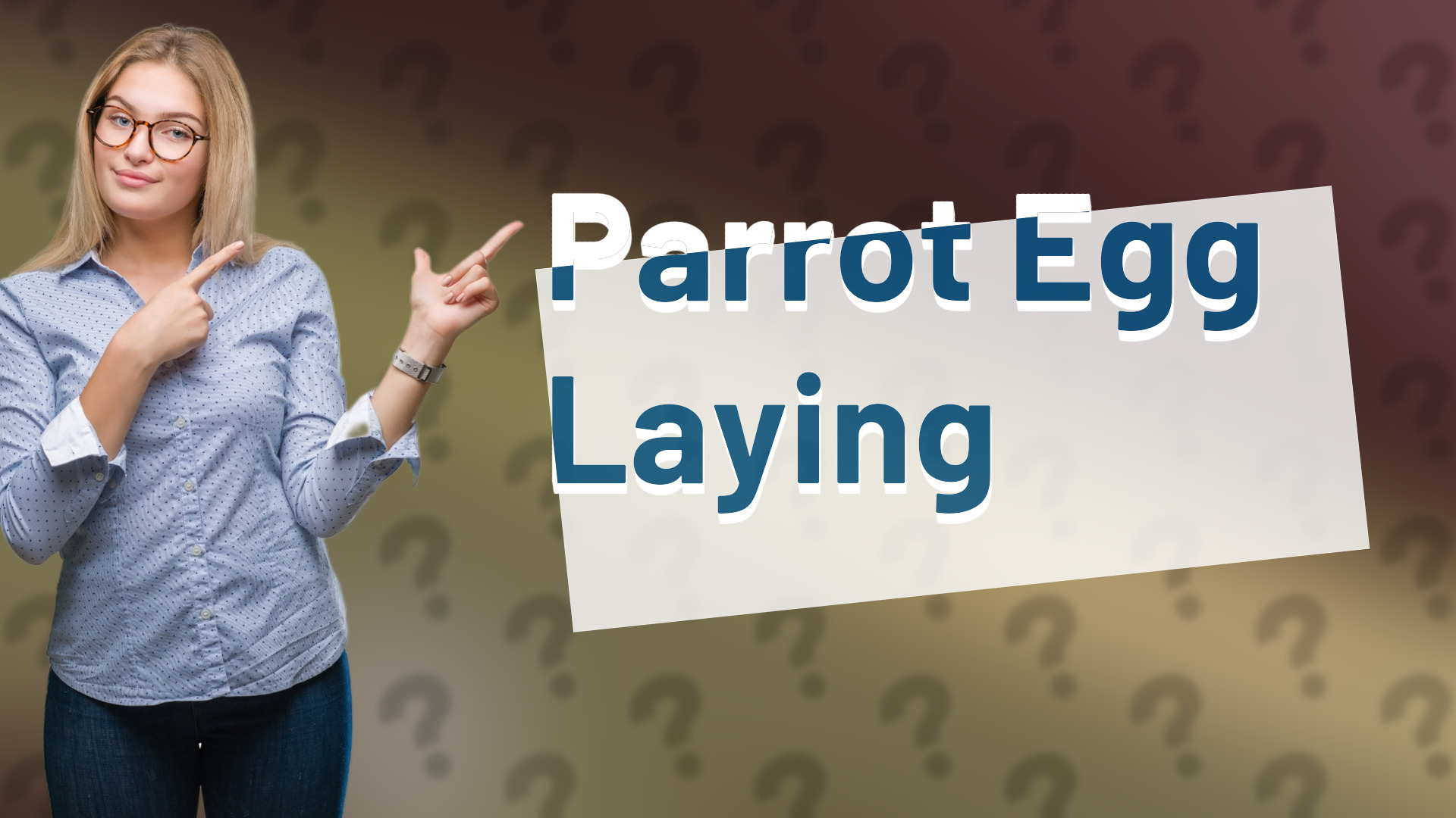 Parrot Egg Laying