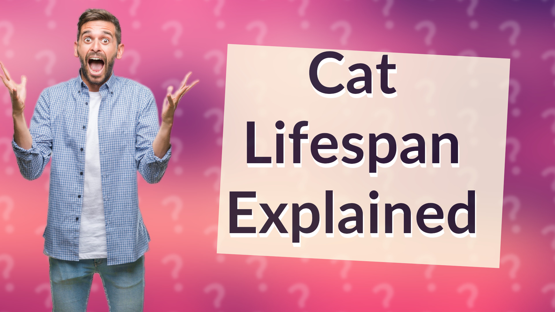 Cat Lifespan Explained