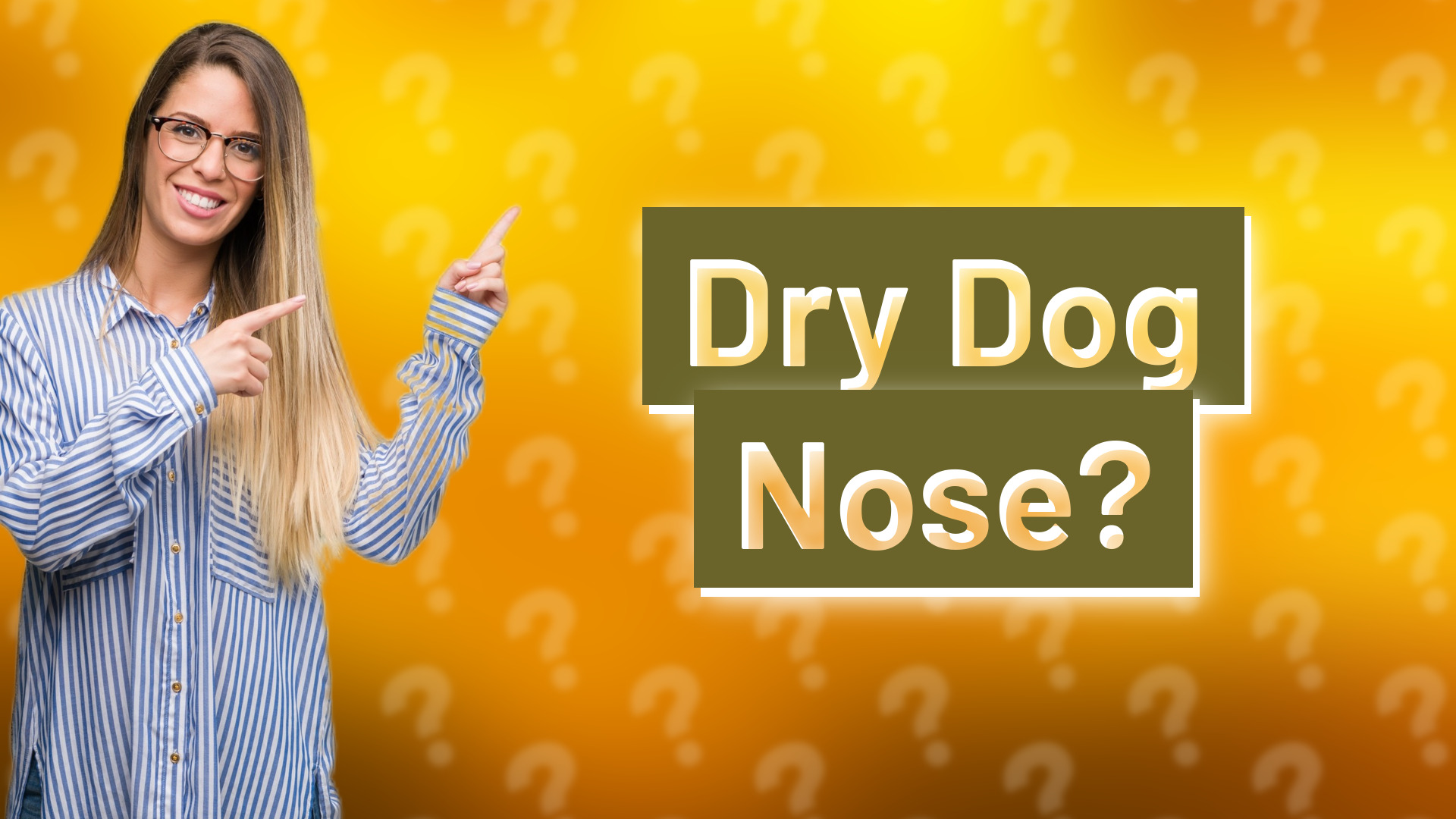Dry Dog Nose?