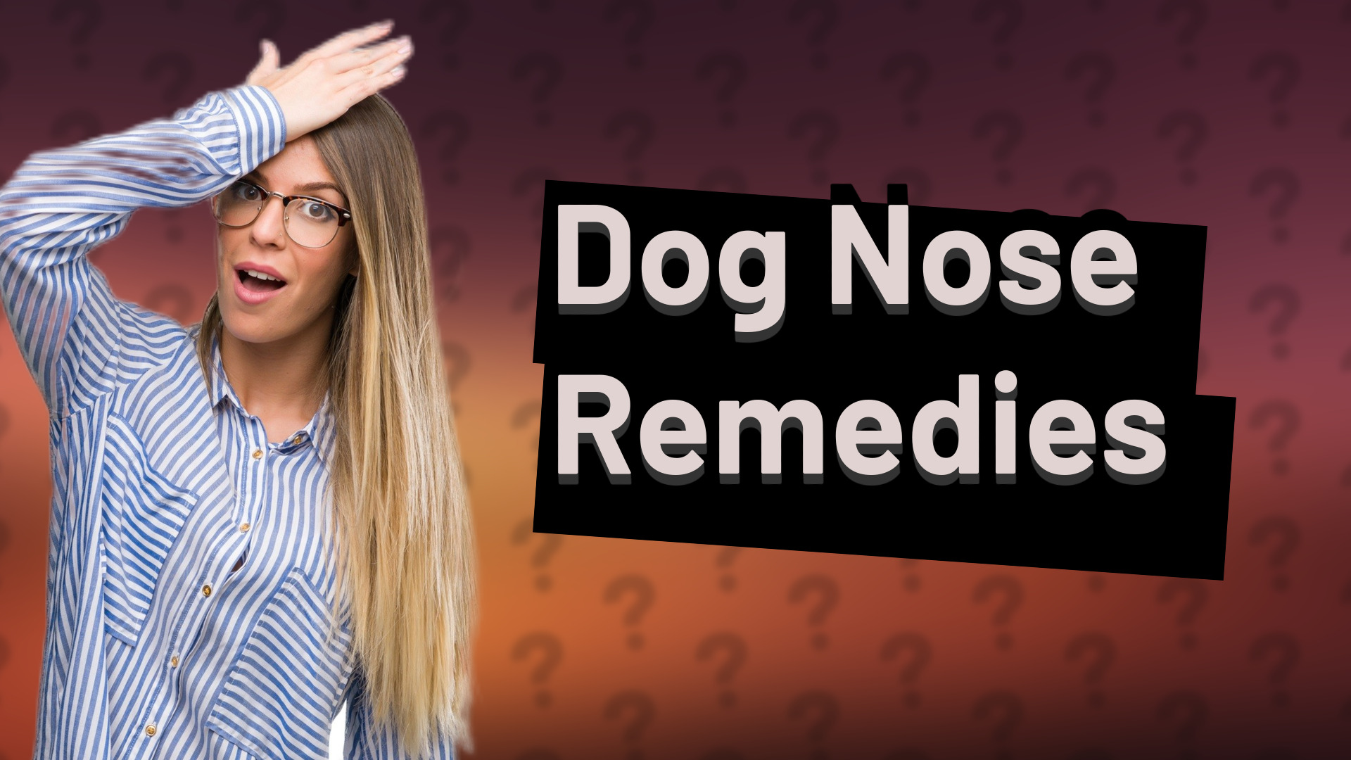 Dog Nose Remedies
