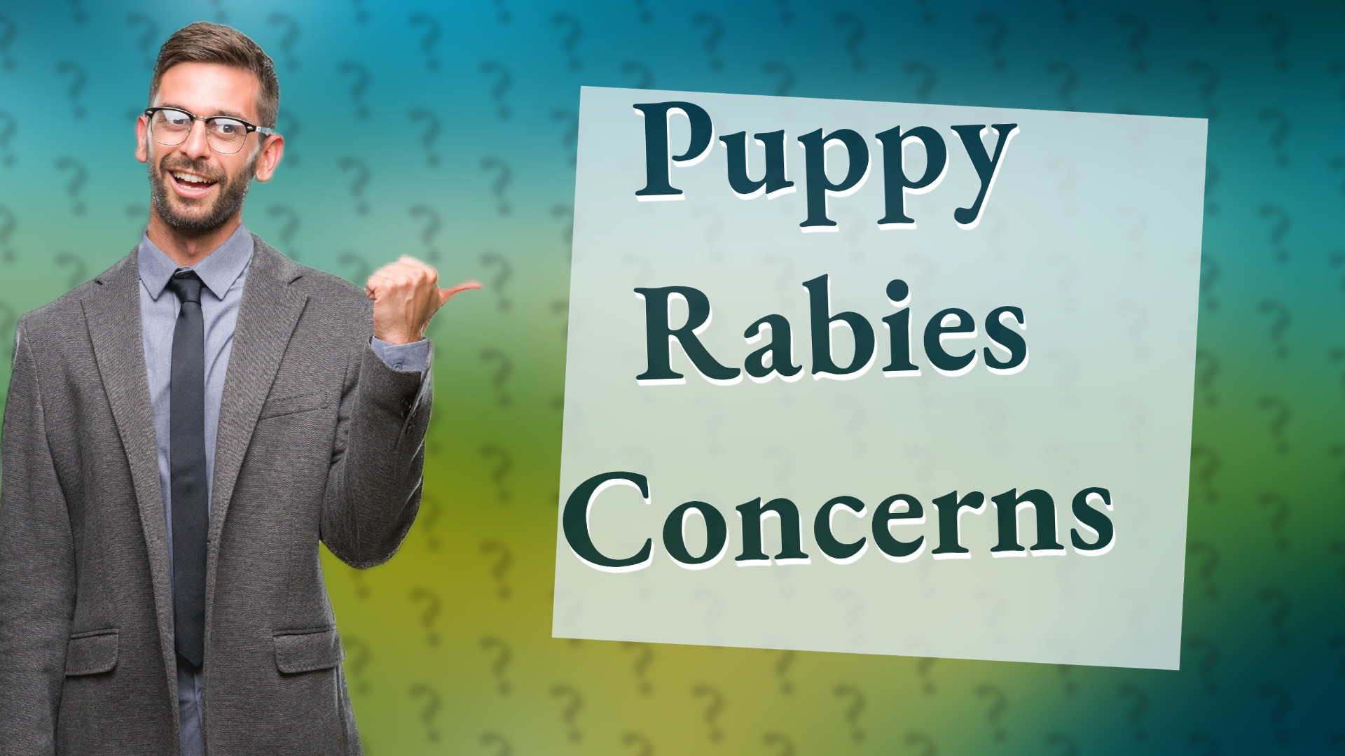 Puppy Rabies Concerns