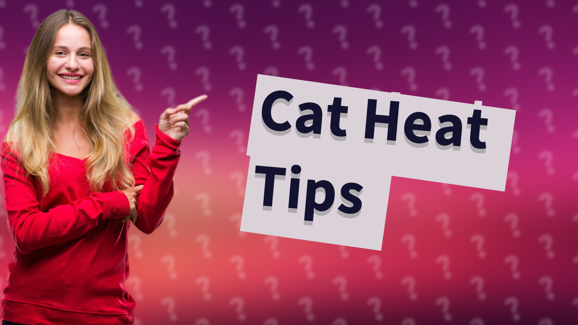 Cat Heat Tips