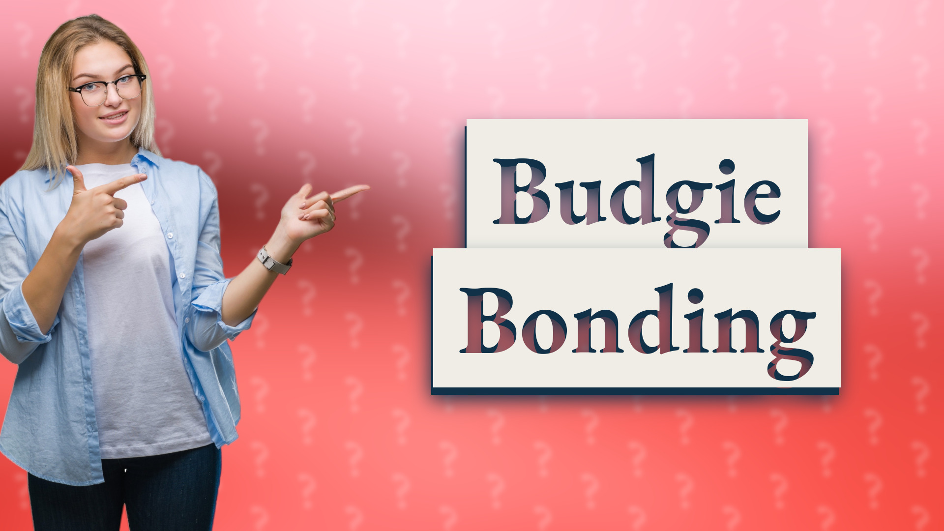 Budgie Bonding