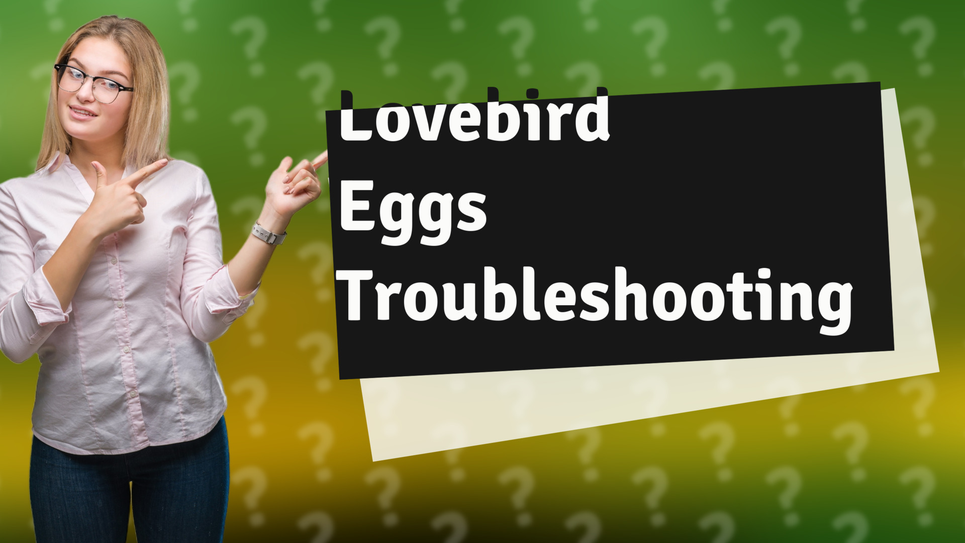 Lovebird Eggs Troubleshooting
