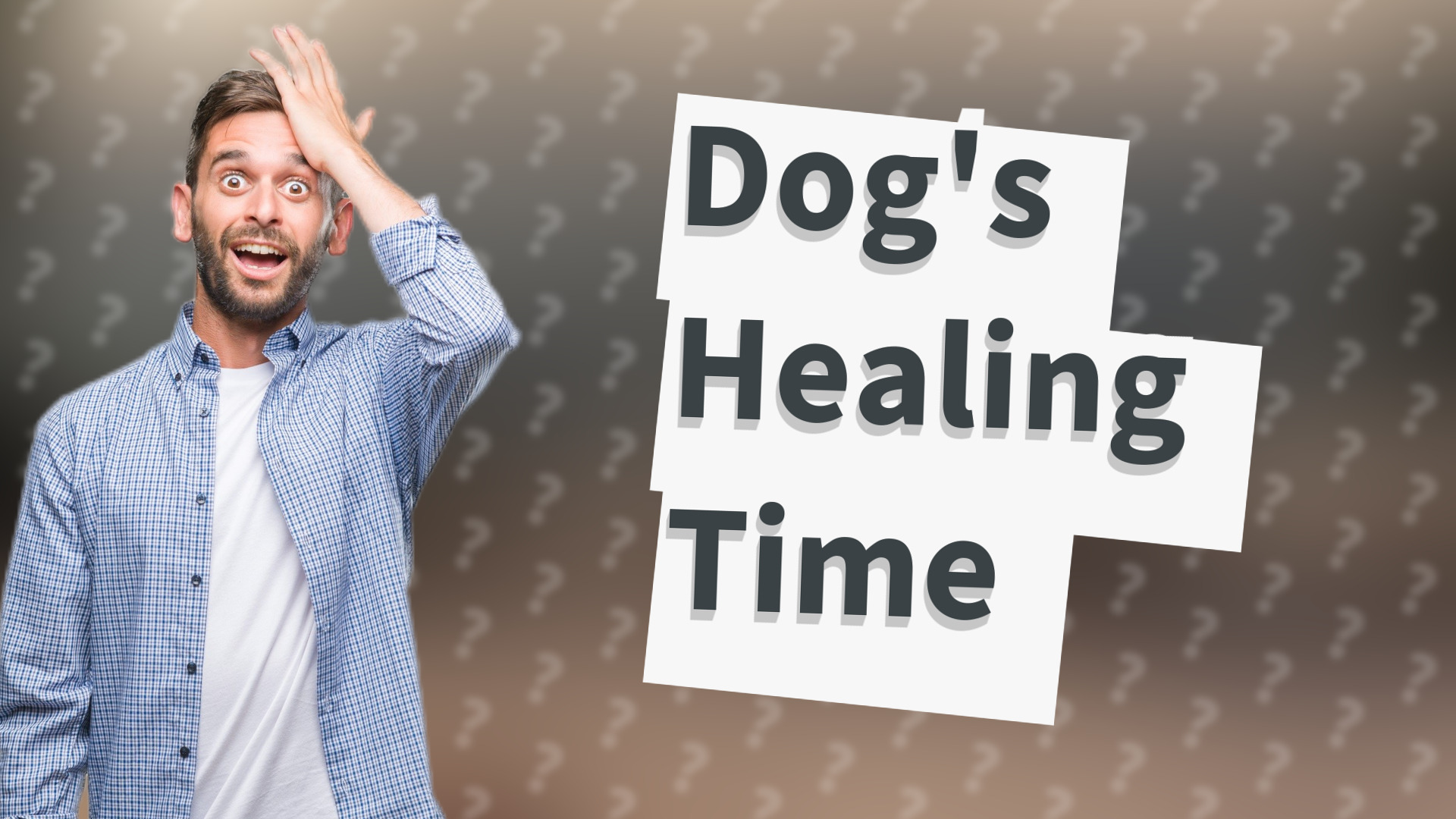 Dog's Healing Time