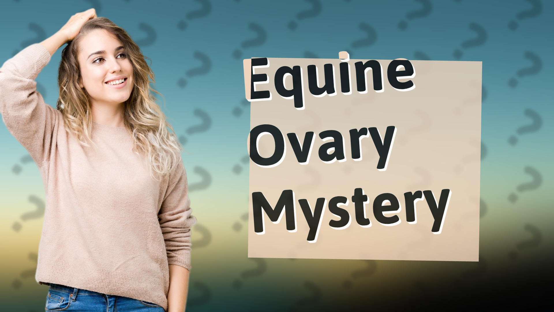 Equine Ovary Mystery