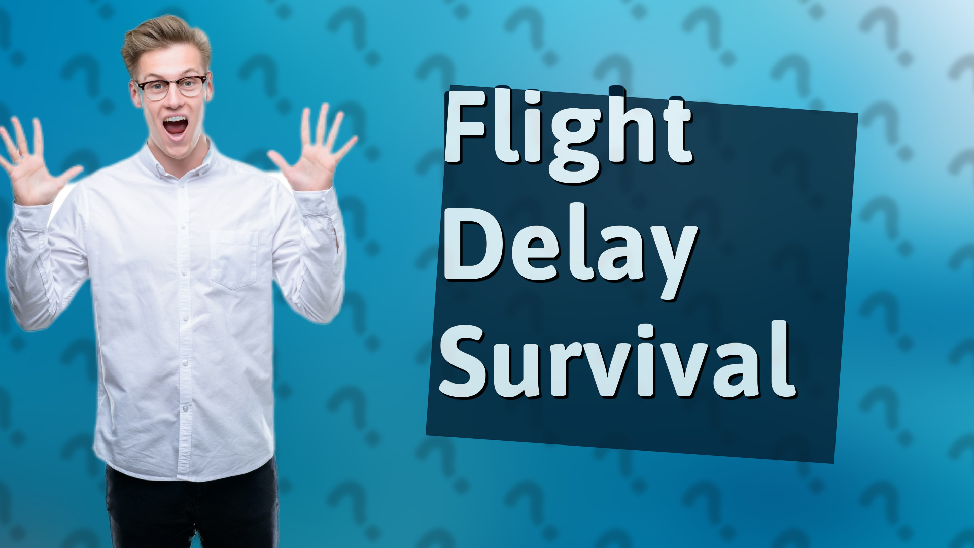 Flight Delay Survival