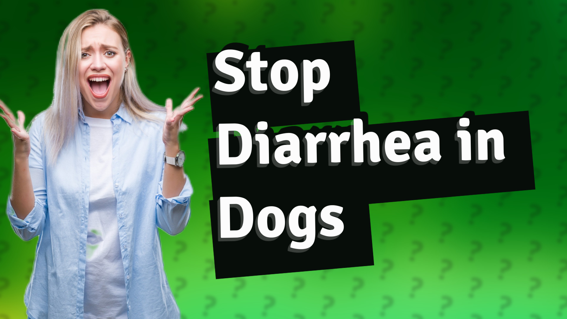 Stop Diarrhea in Dogs
