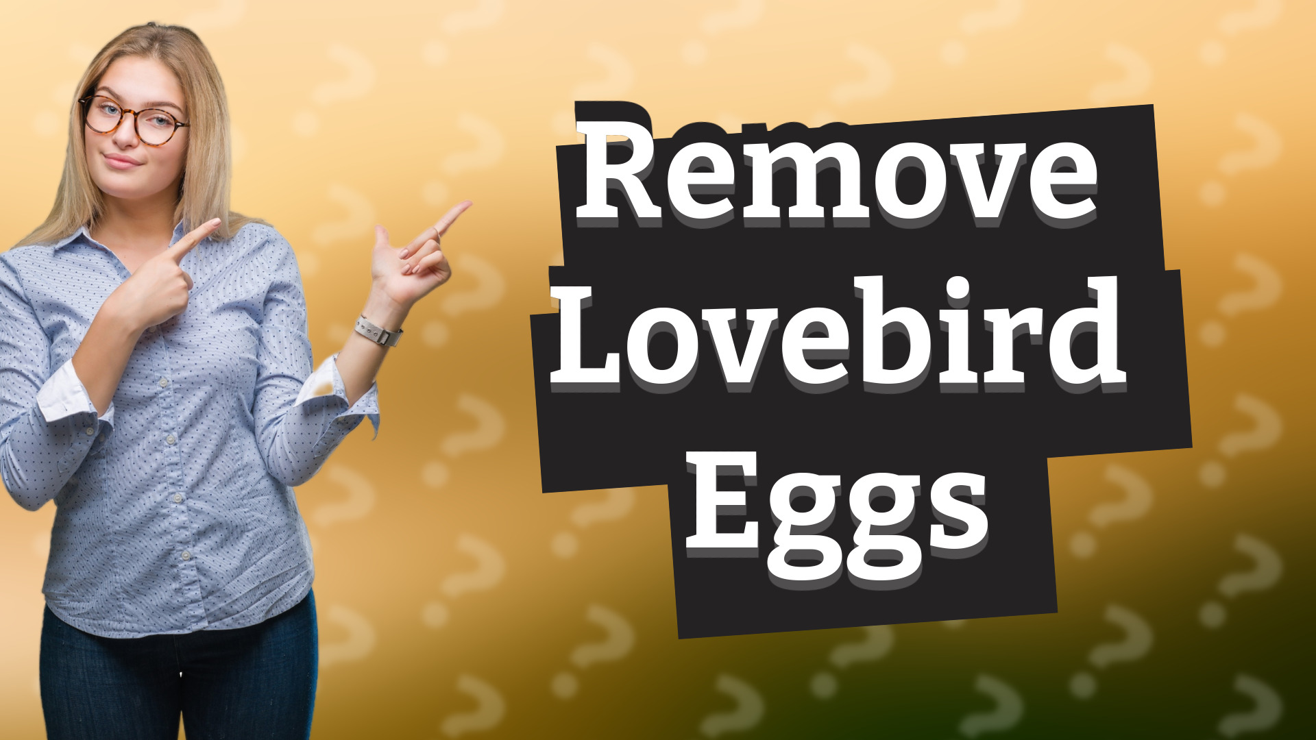 Remove Lovebird Eggs