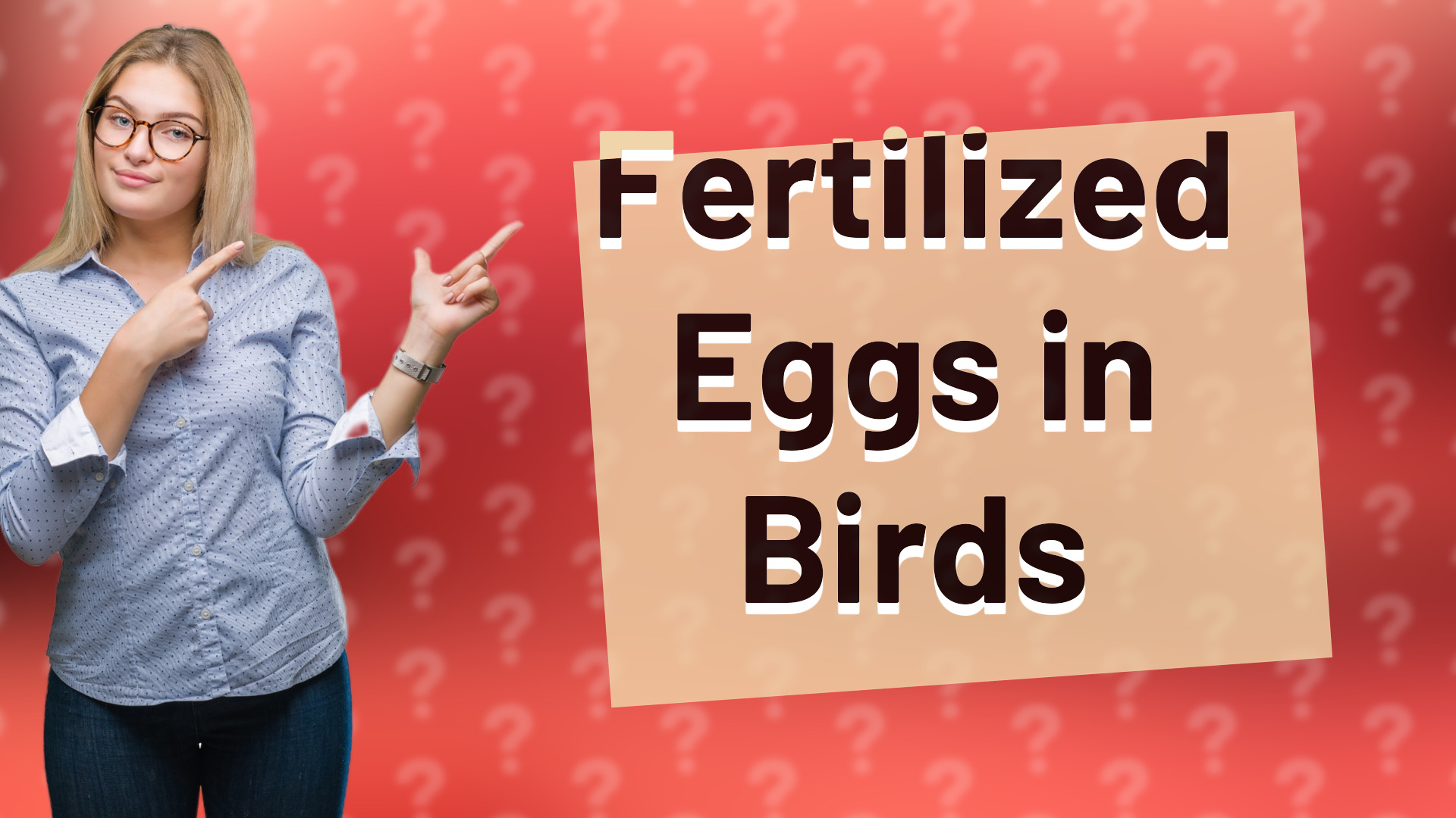Fertilized Eggs in Birds