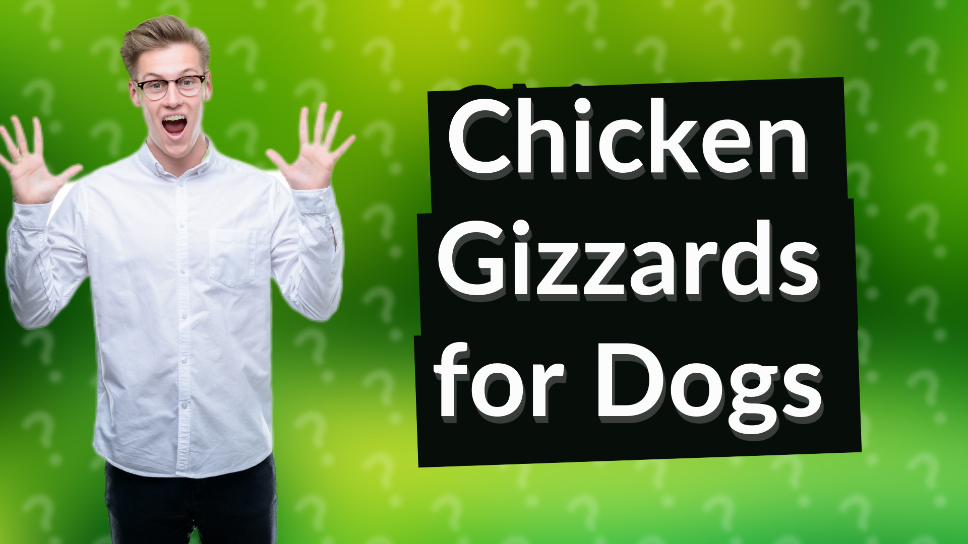 Chicken Gizzards for Dogs