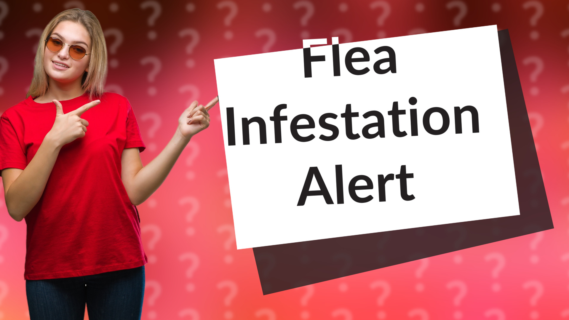 Flea Infestation Alert