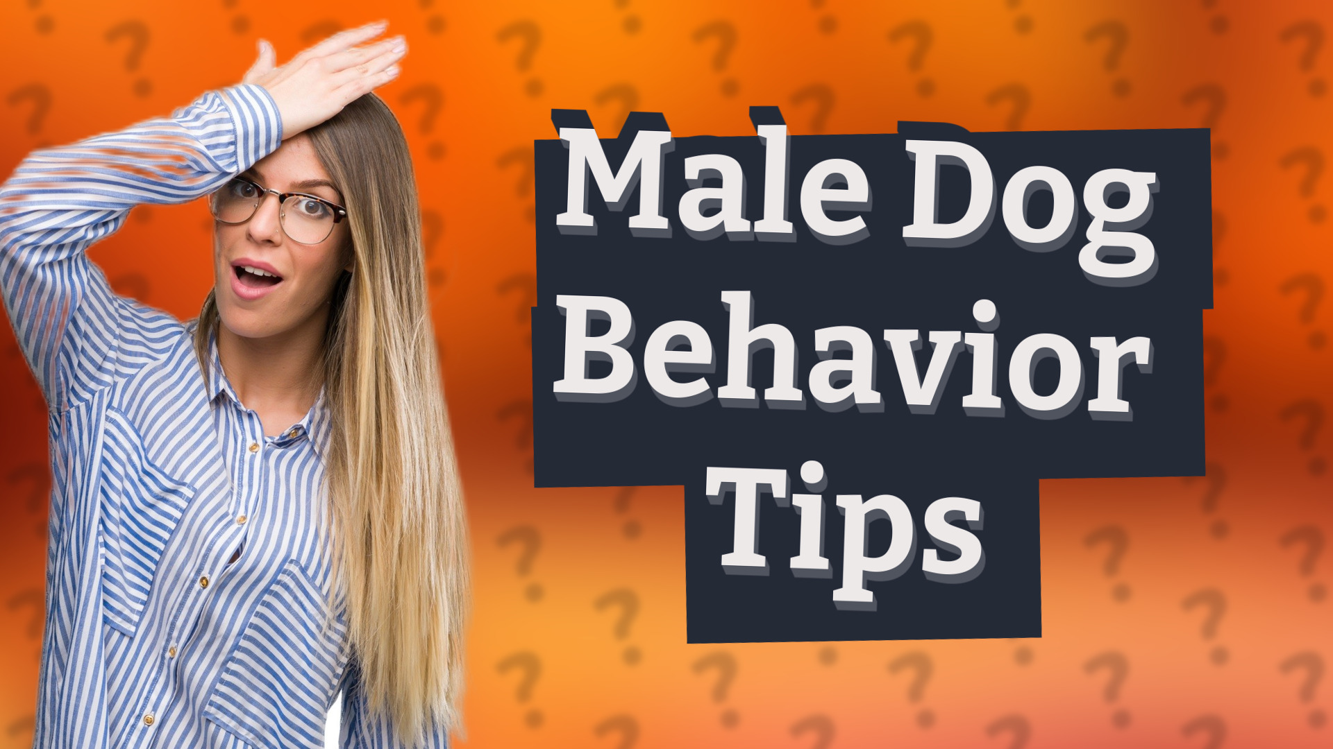 Male Dog Behavior Tips