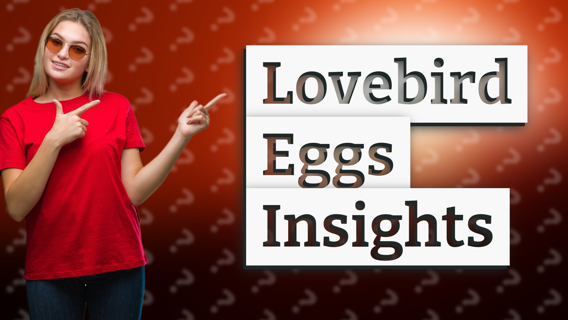 Lovebird Eggs Insights