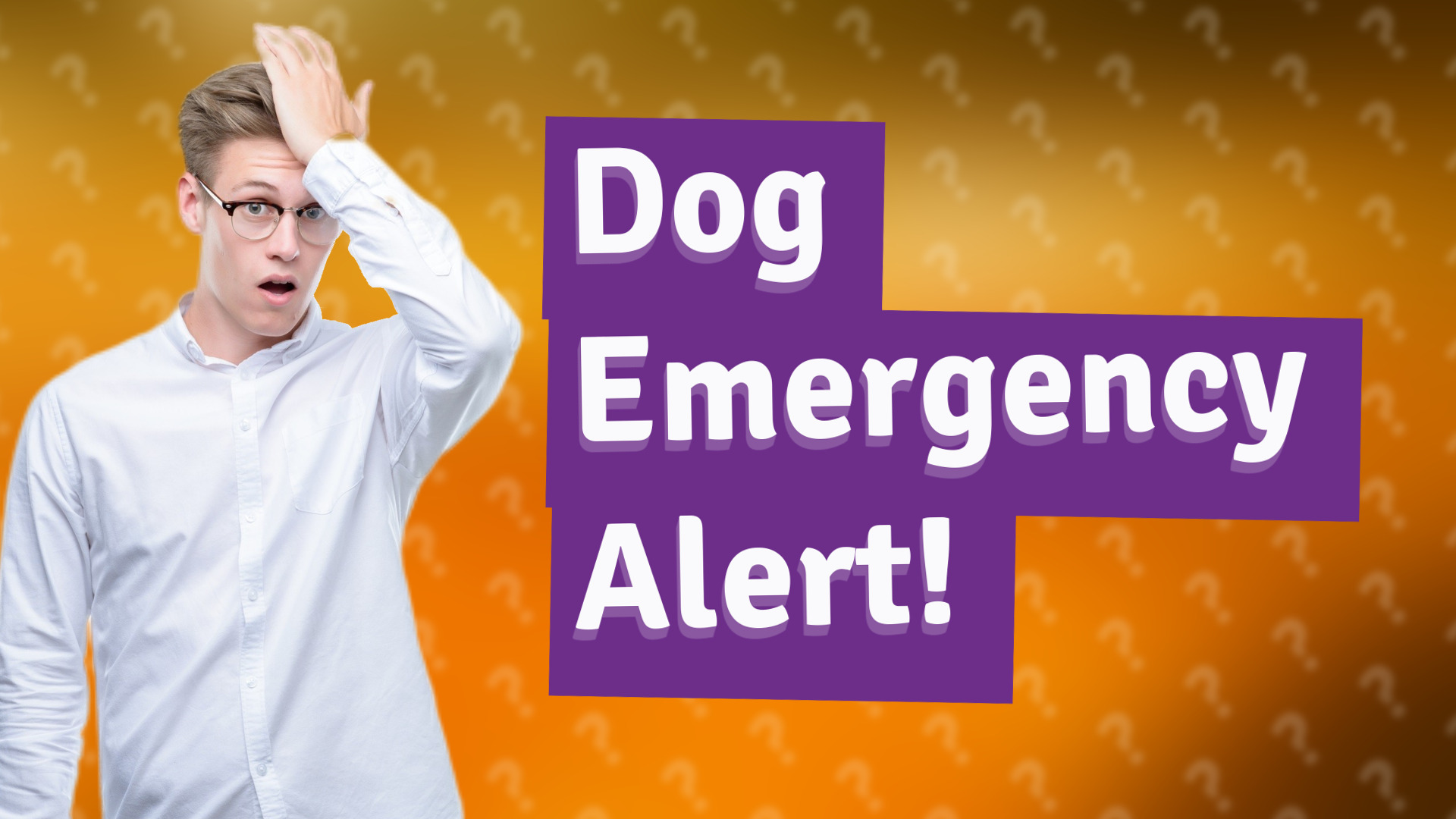 Dog Emergency Alert!