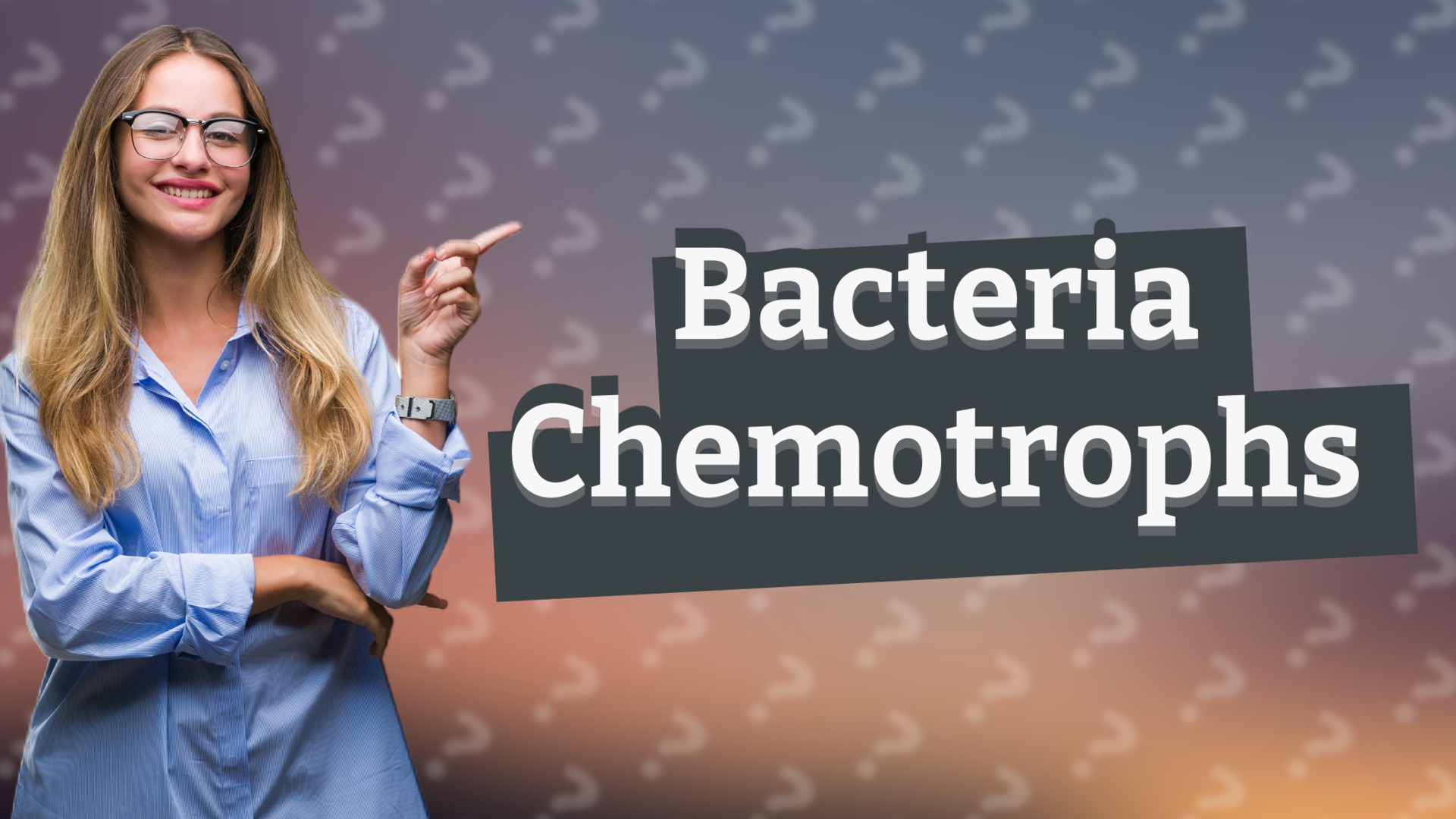 Bacteria Chemotrophs