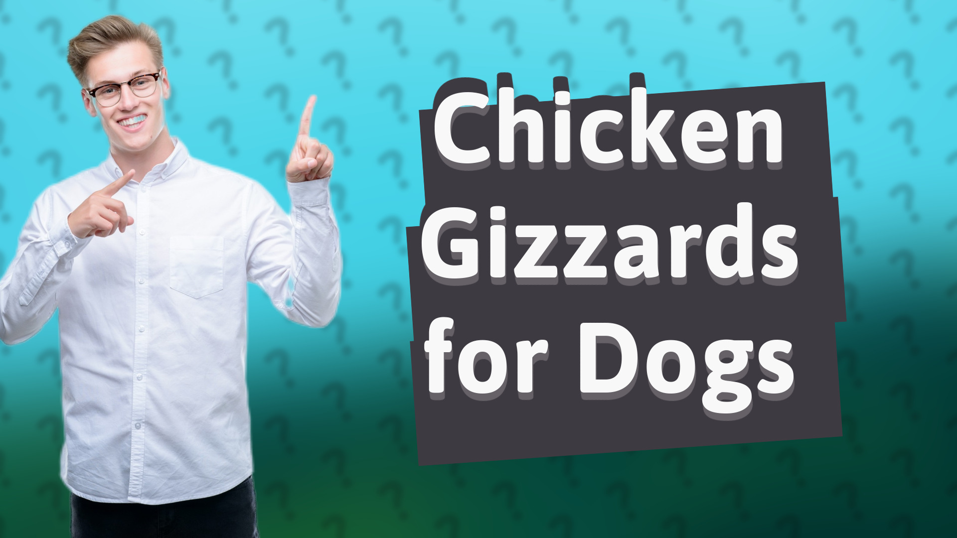 Chicken Gizzards for Dogs