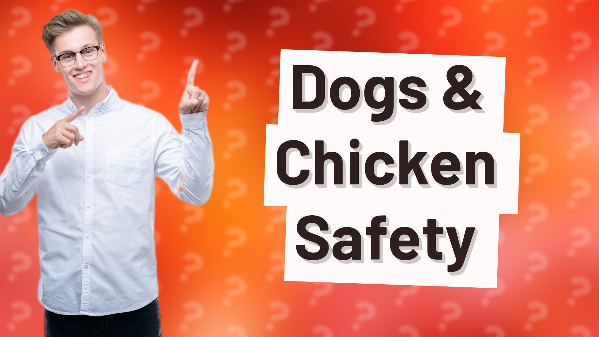 Dogs & Chicken Safety