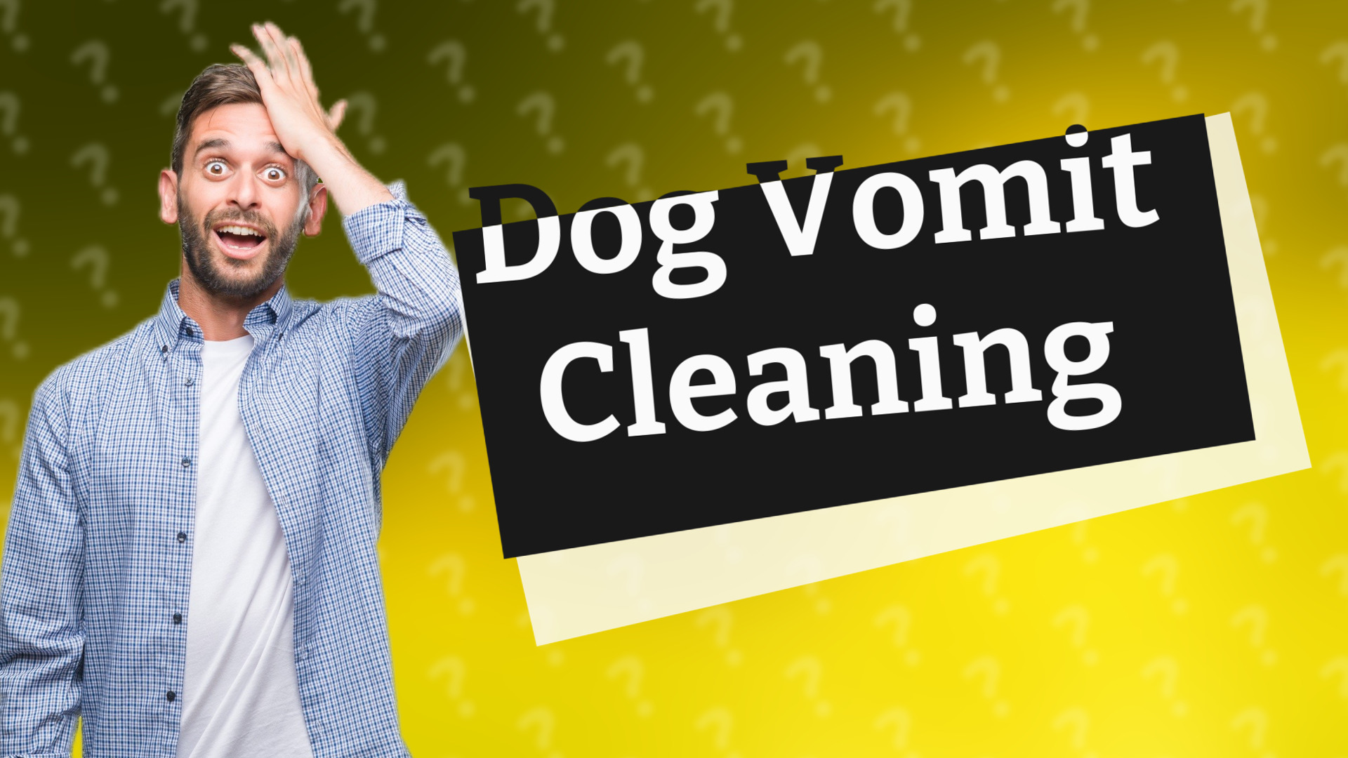 Dog Vomit Cleaning
