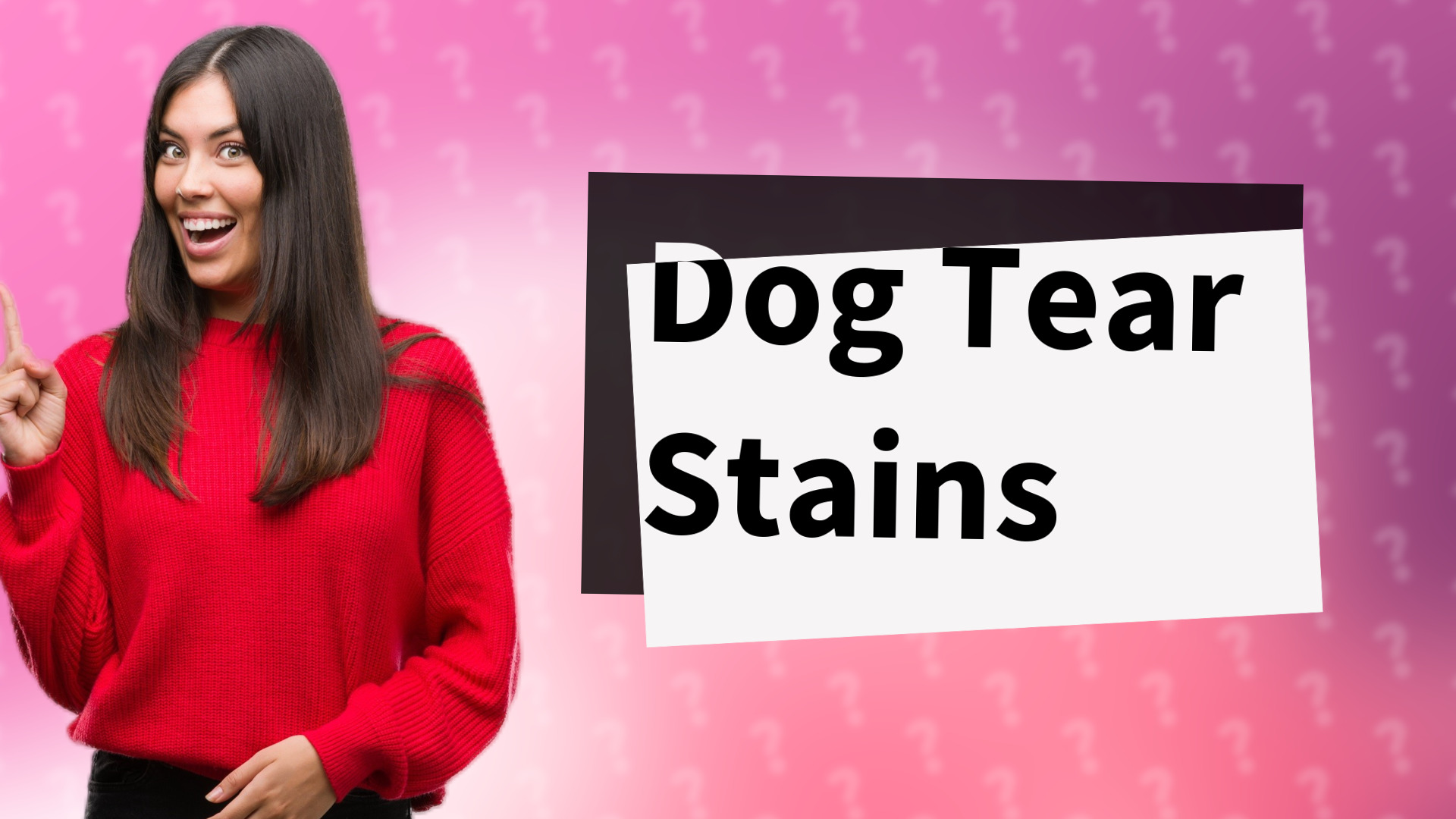 Dog Tear Stains