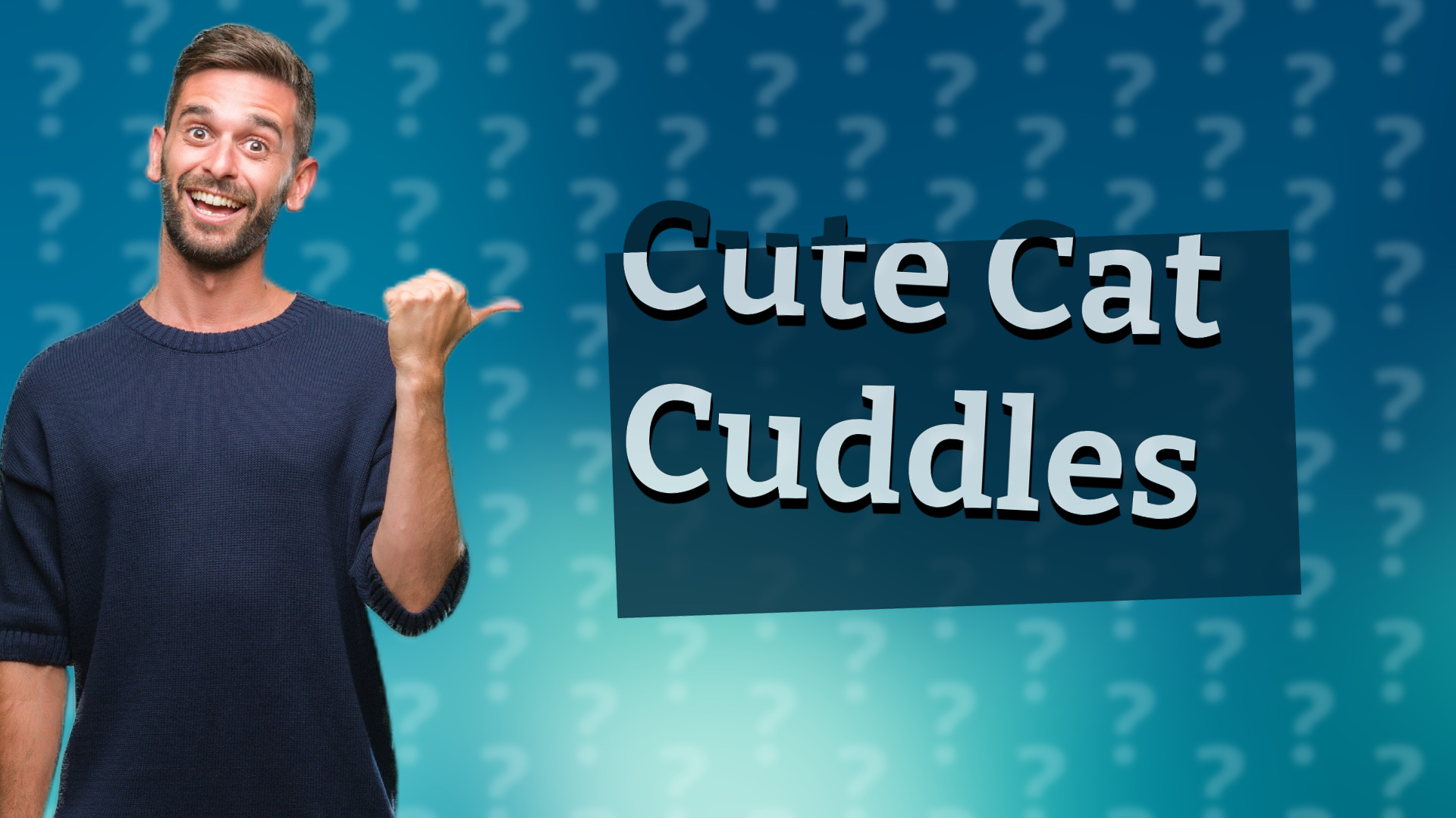 Cute Cat Cuddles