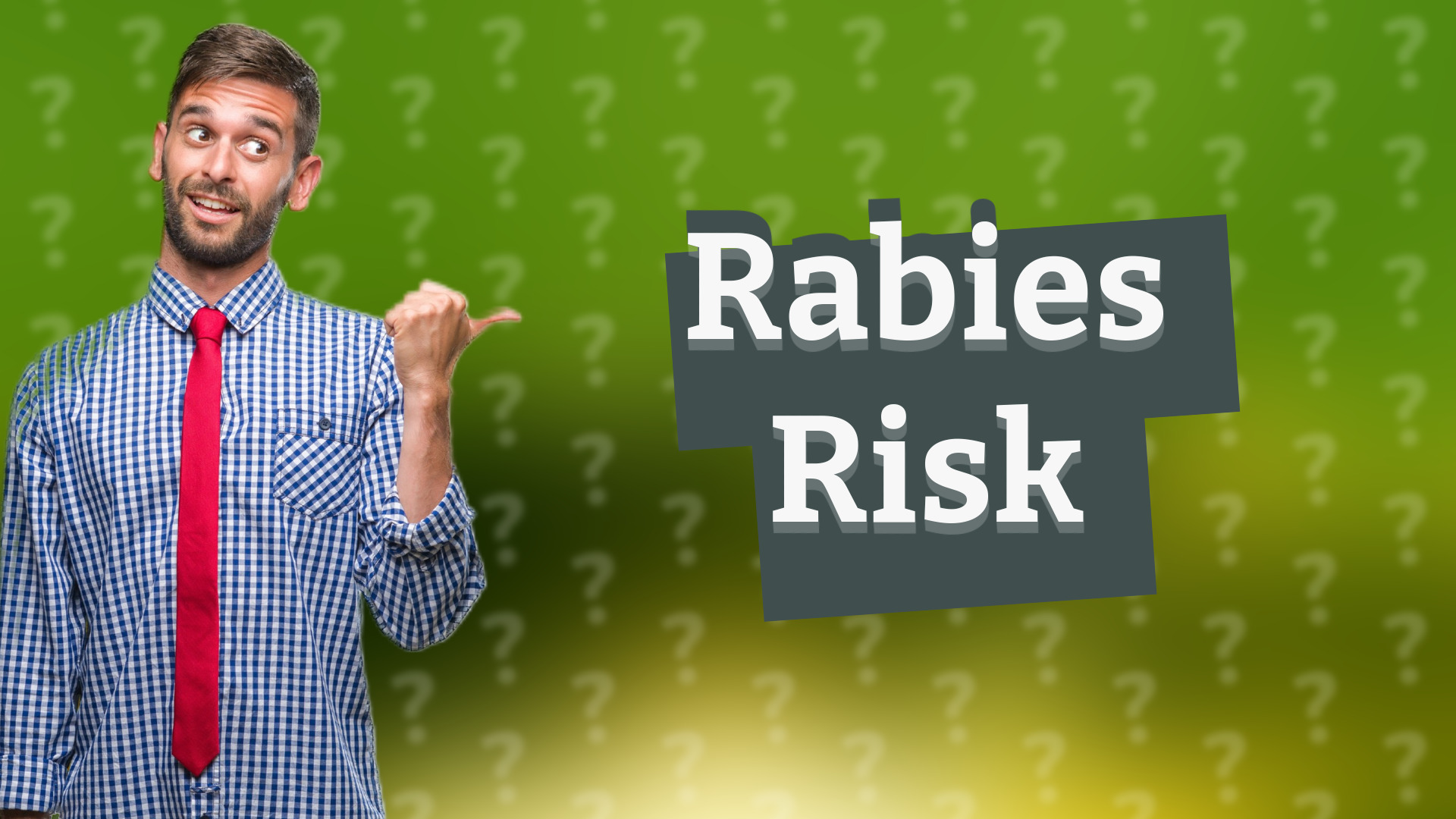 Rabies Risk