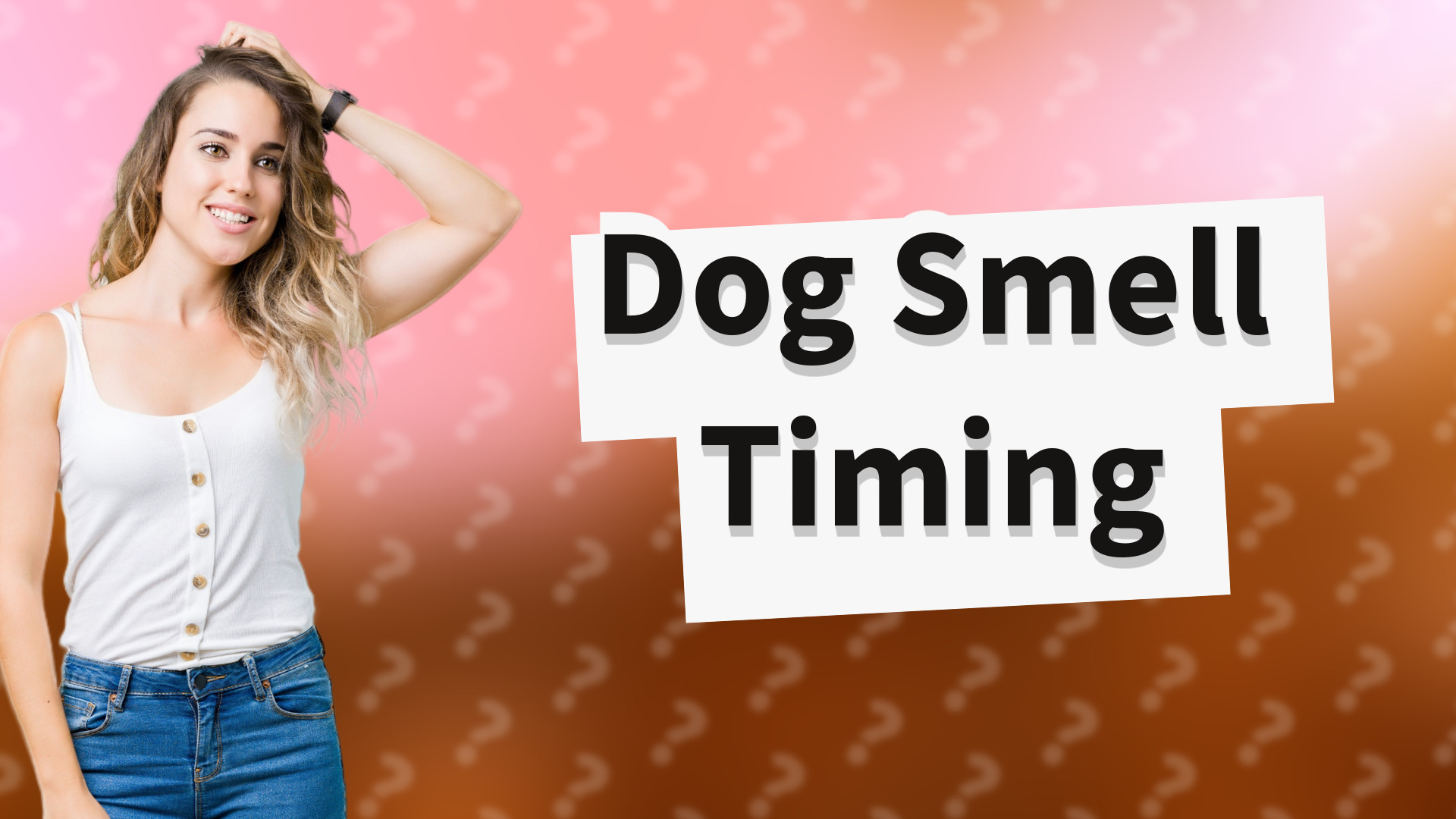 Dog Smell Timing