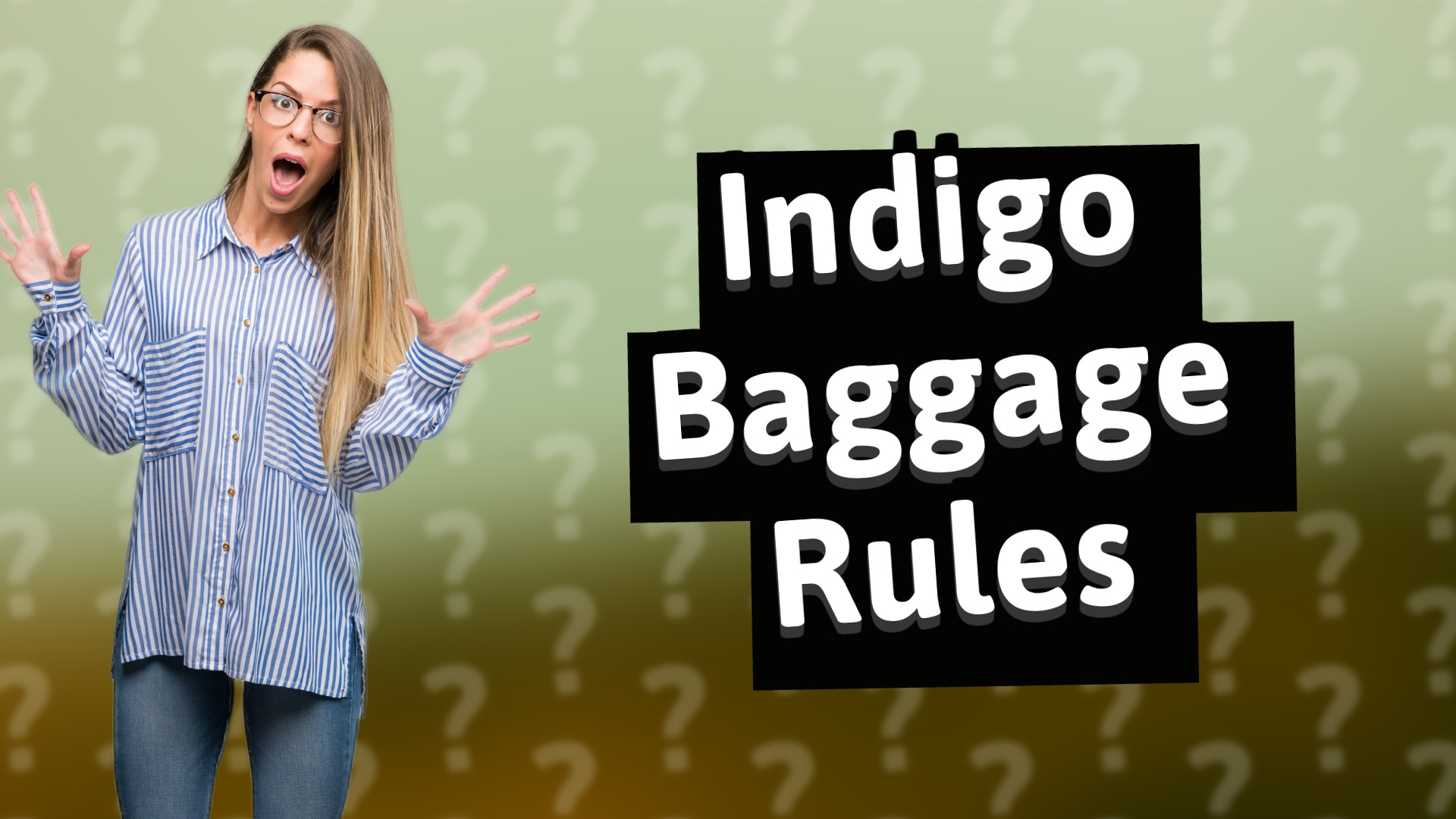 Indigo Baggage Rules