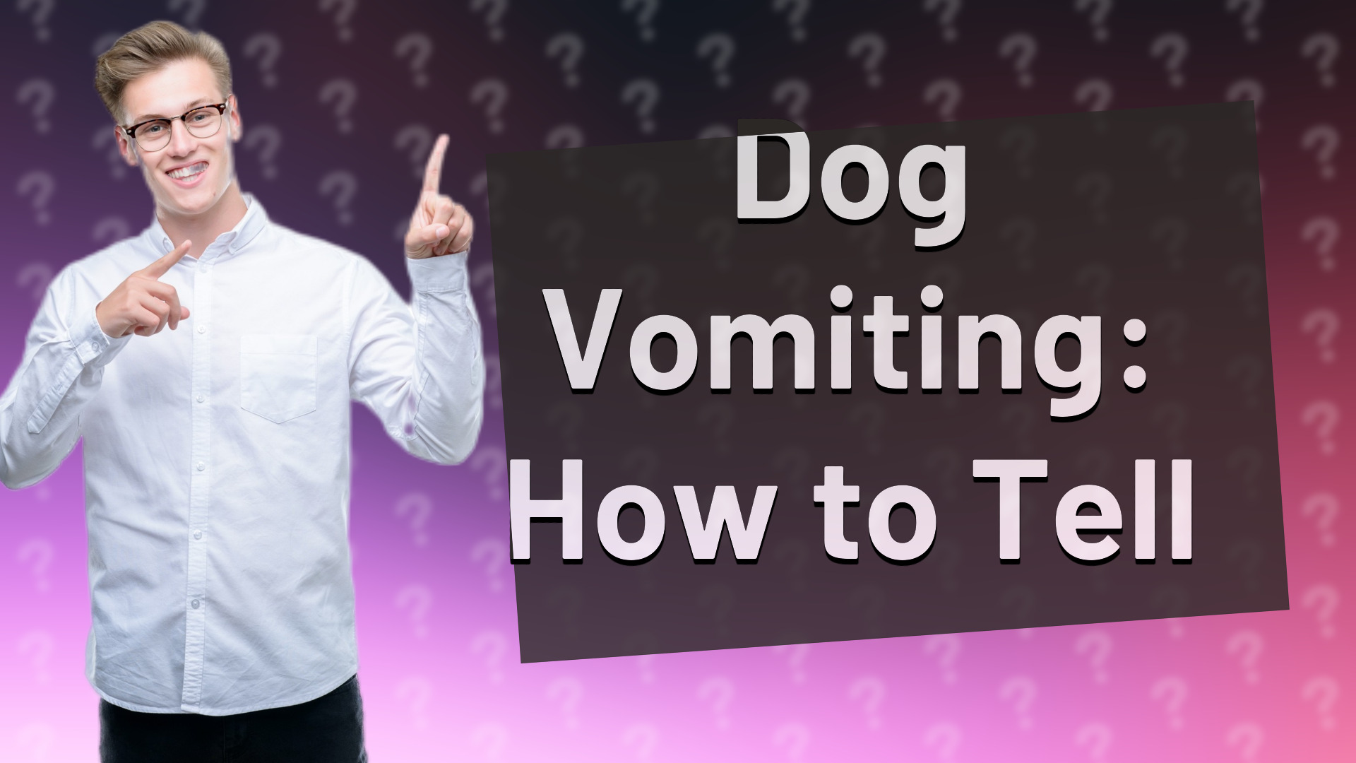 Dog Vomiting: How to Tell