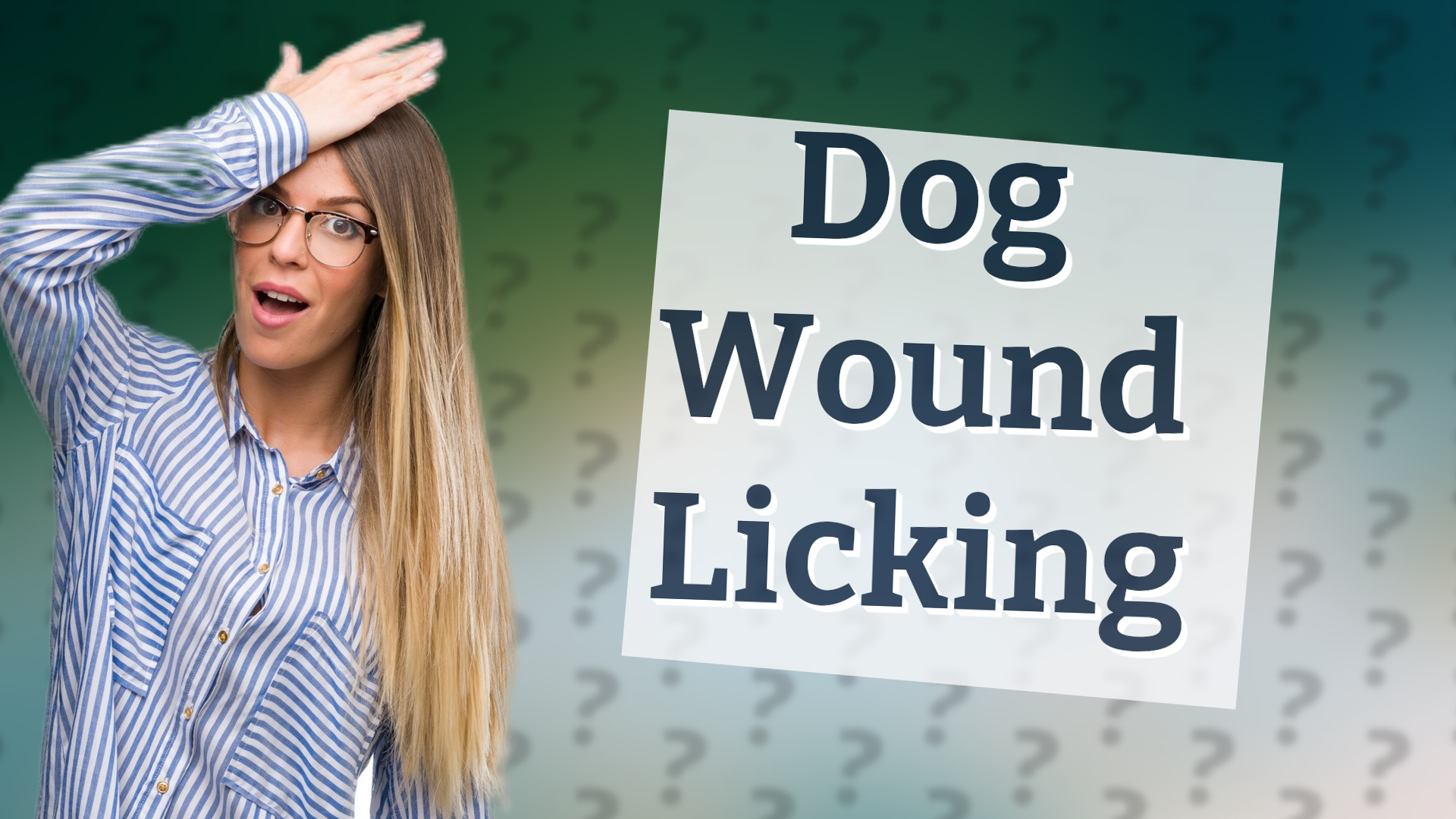 Dog Wound Licking